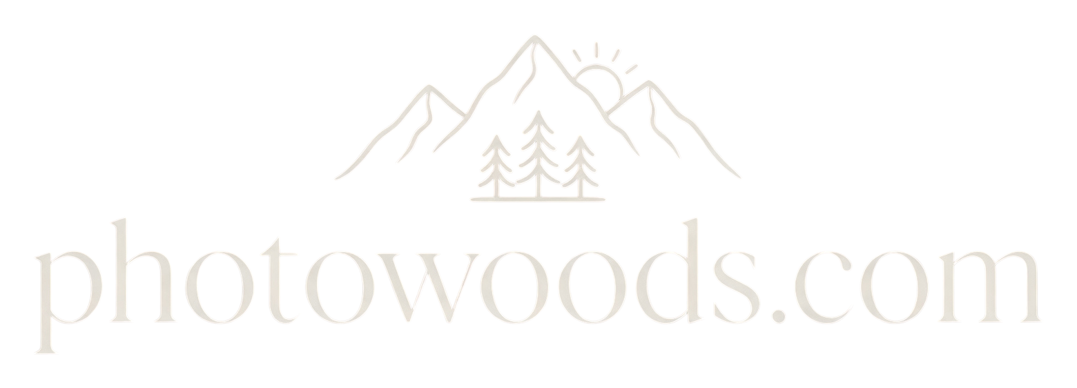 PhotoWoods royalty-free stock photos and videos