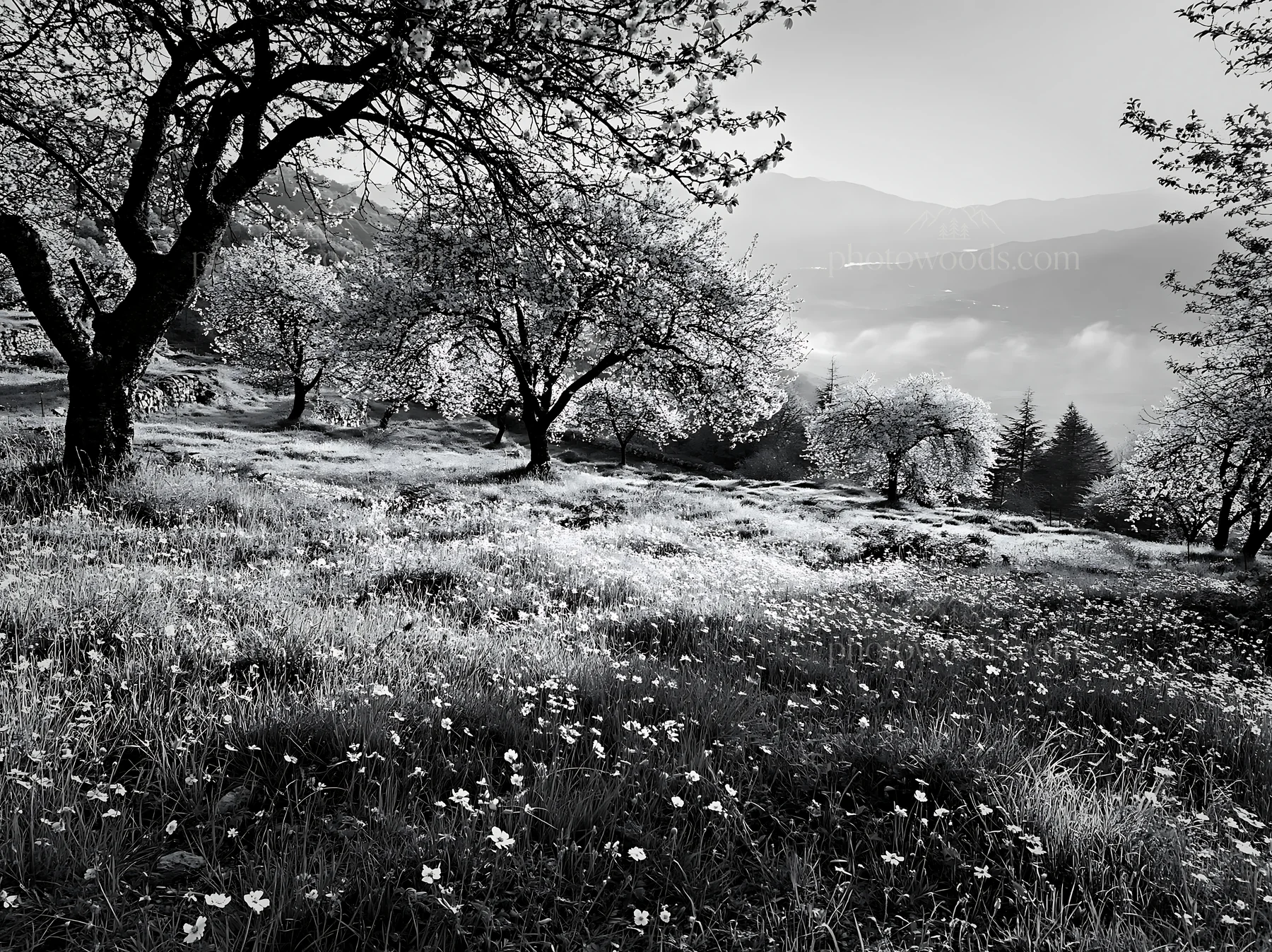 Spring orchard meadow with trees and flowers - AI-generated stock image