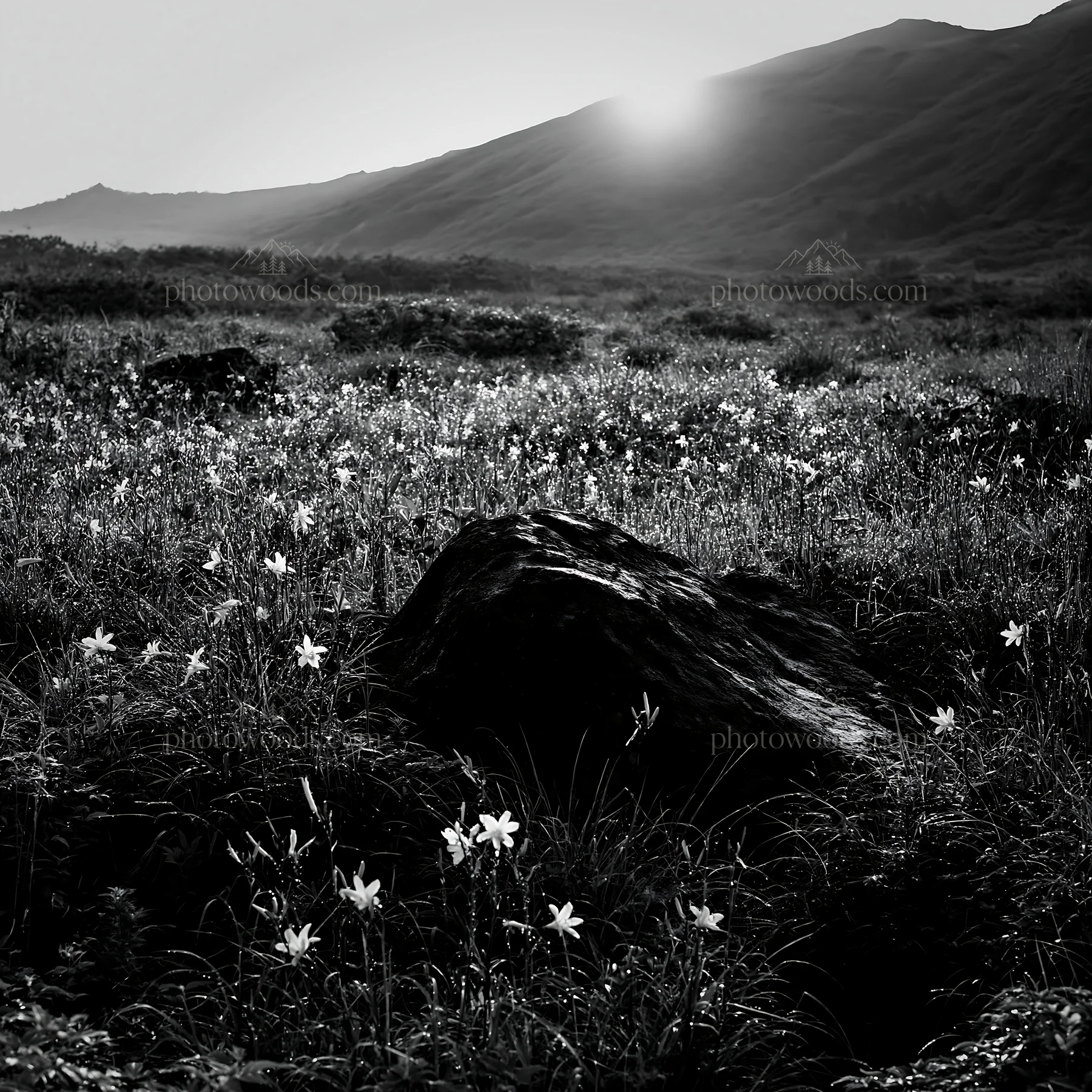 Aomori meadow with boulder and flowers at sunset - AI-generated stock image