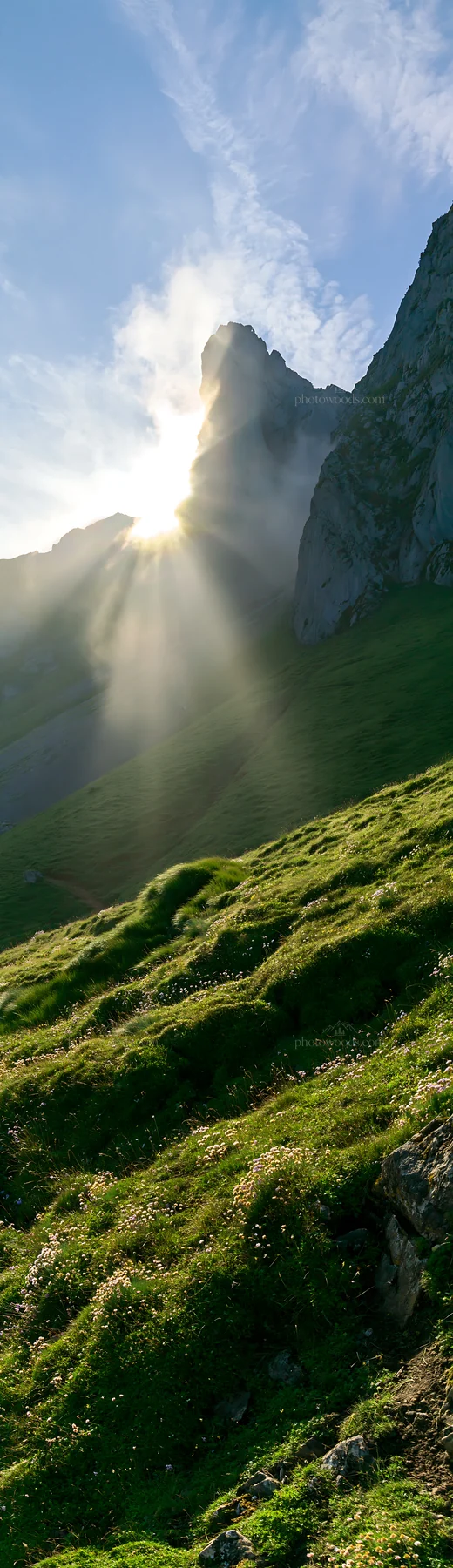 Sun rays shine over Picos de Europa meadow at sunrise - AI-generated stock image