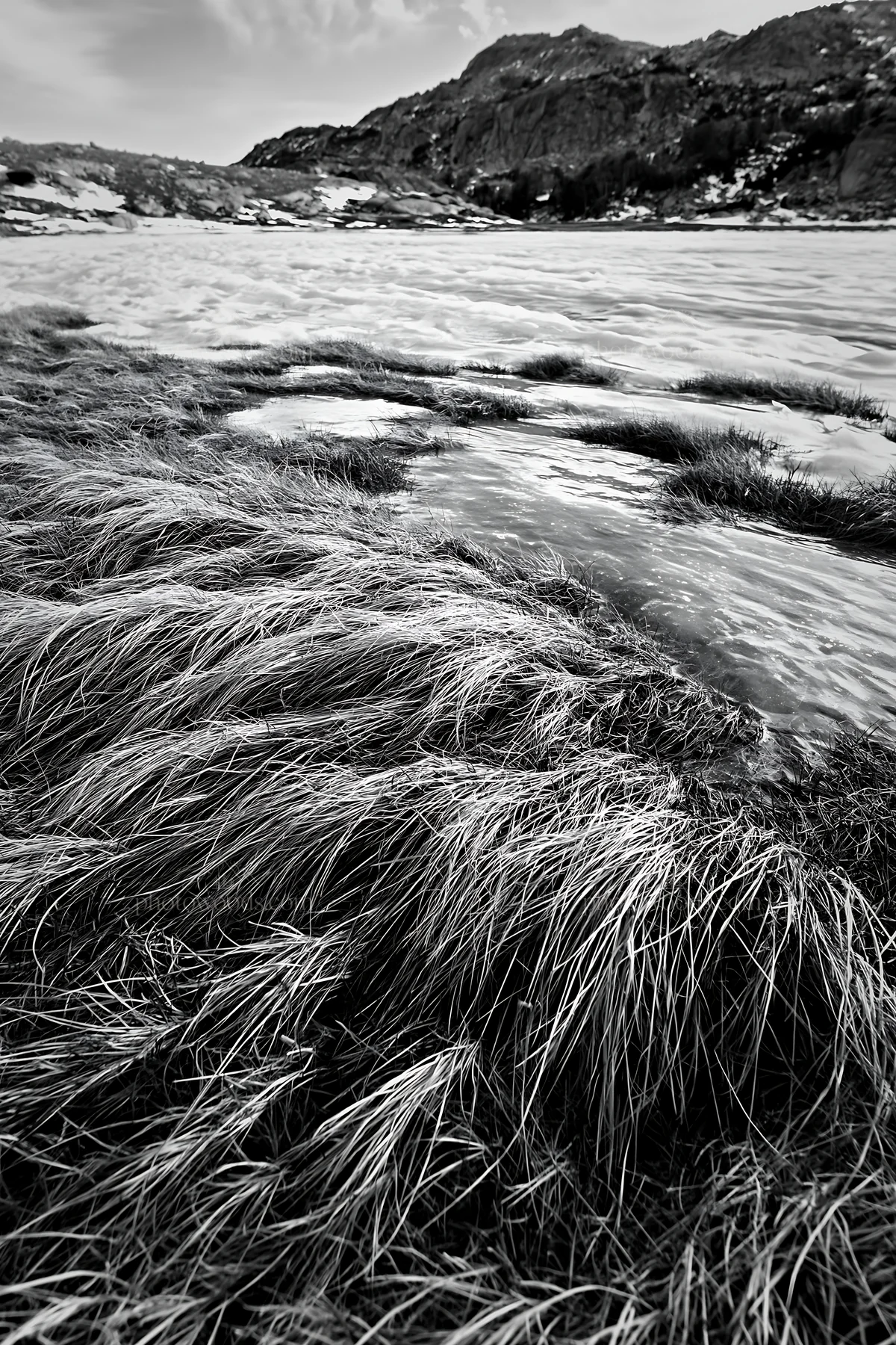 Black and white frozen tarn meadow surrounded by grass and snow - AI-generated stock image