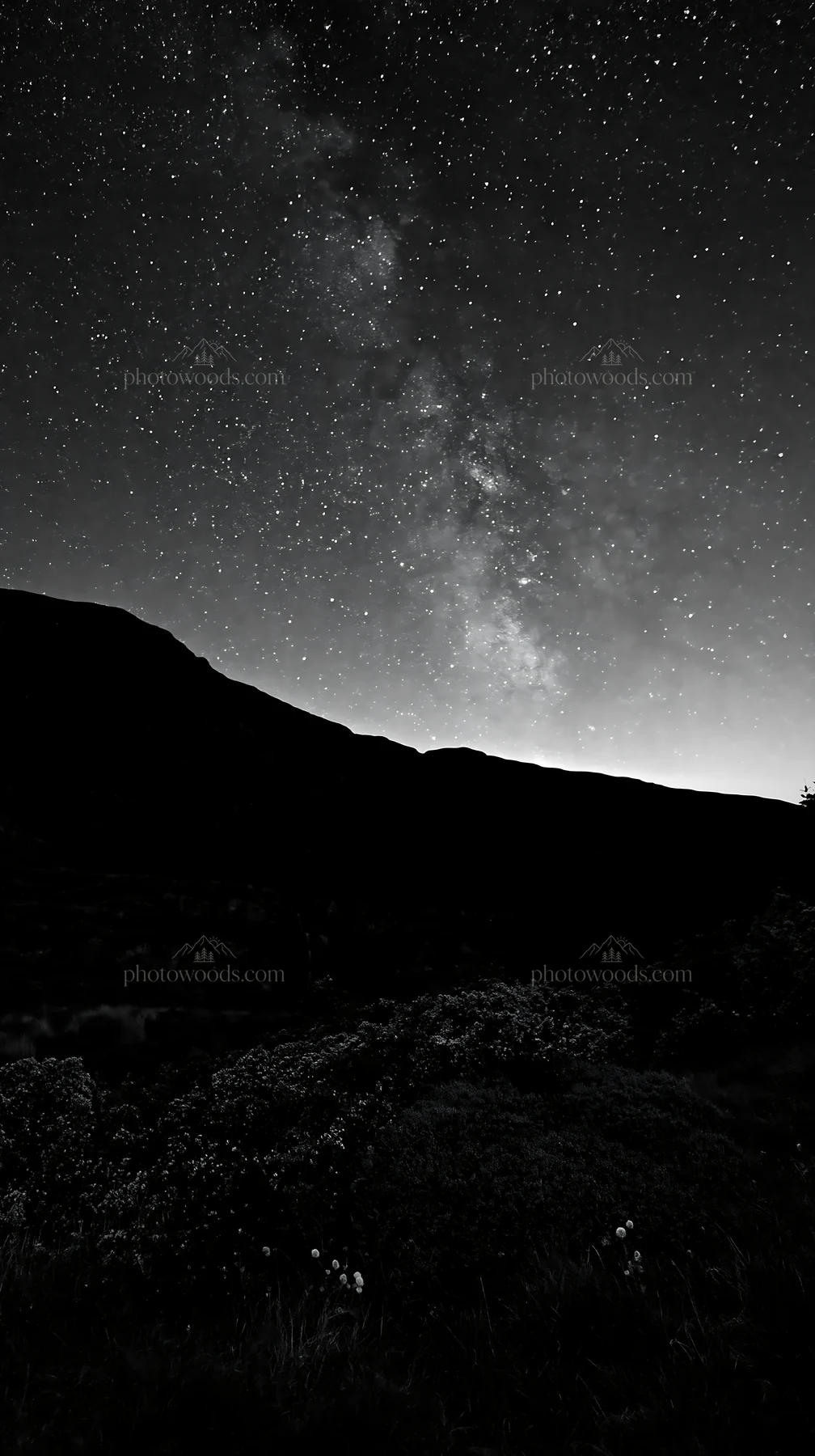 Star-filled night sky over a meadow and mountains - AI-generated stock image