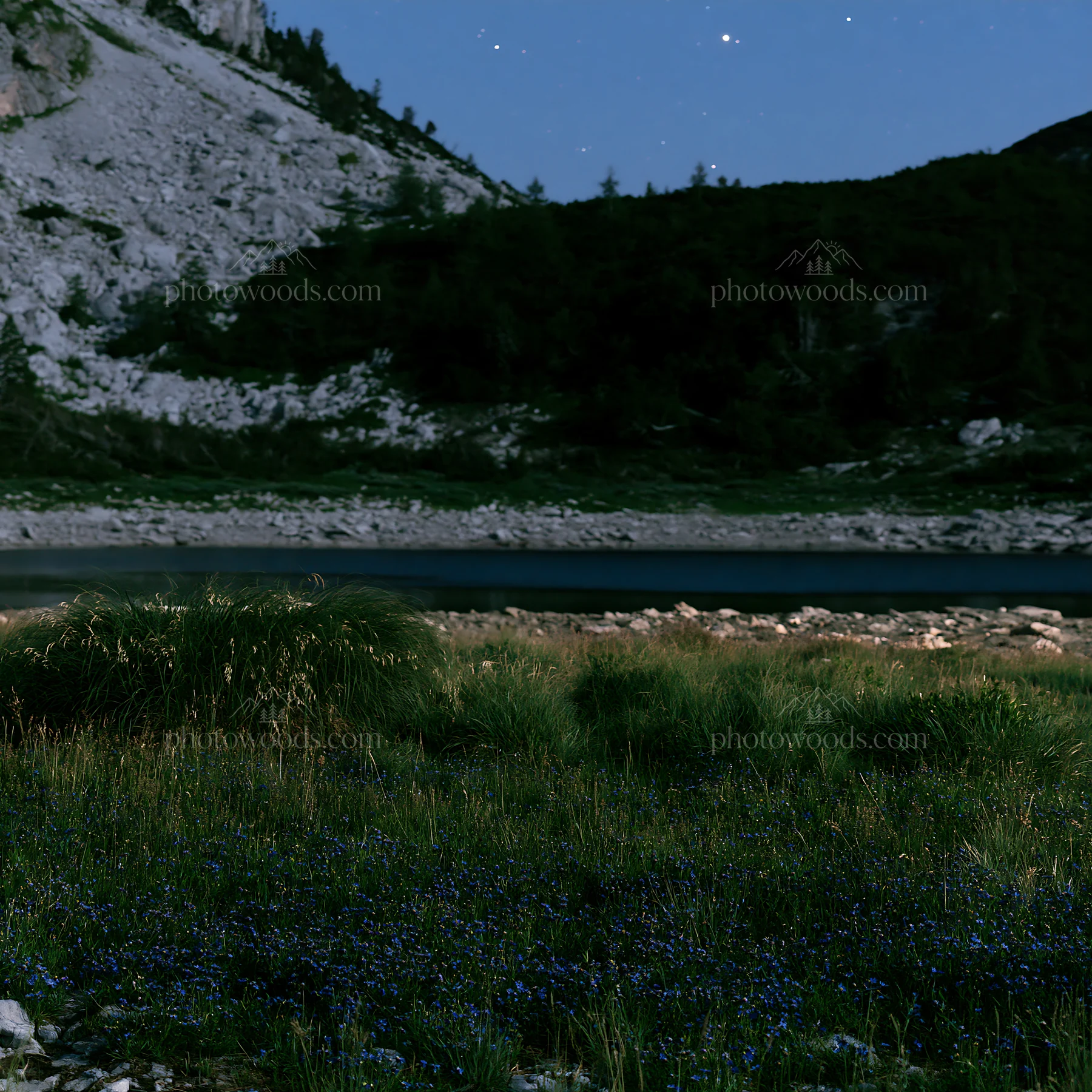 Starlit meadow under a night sky with distant hills - AI-generated stock image