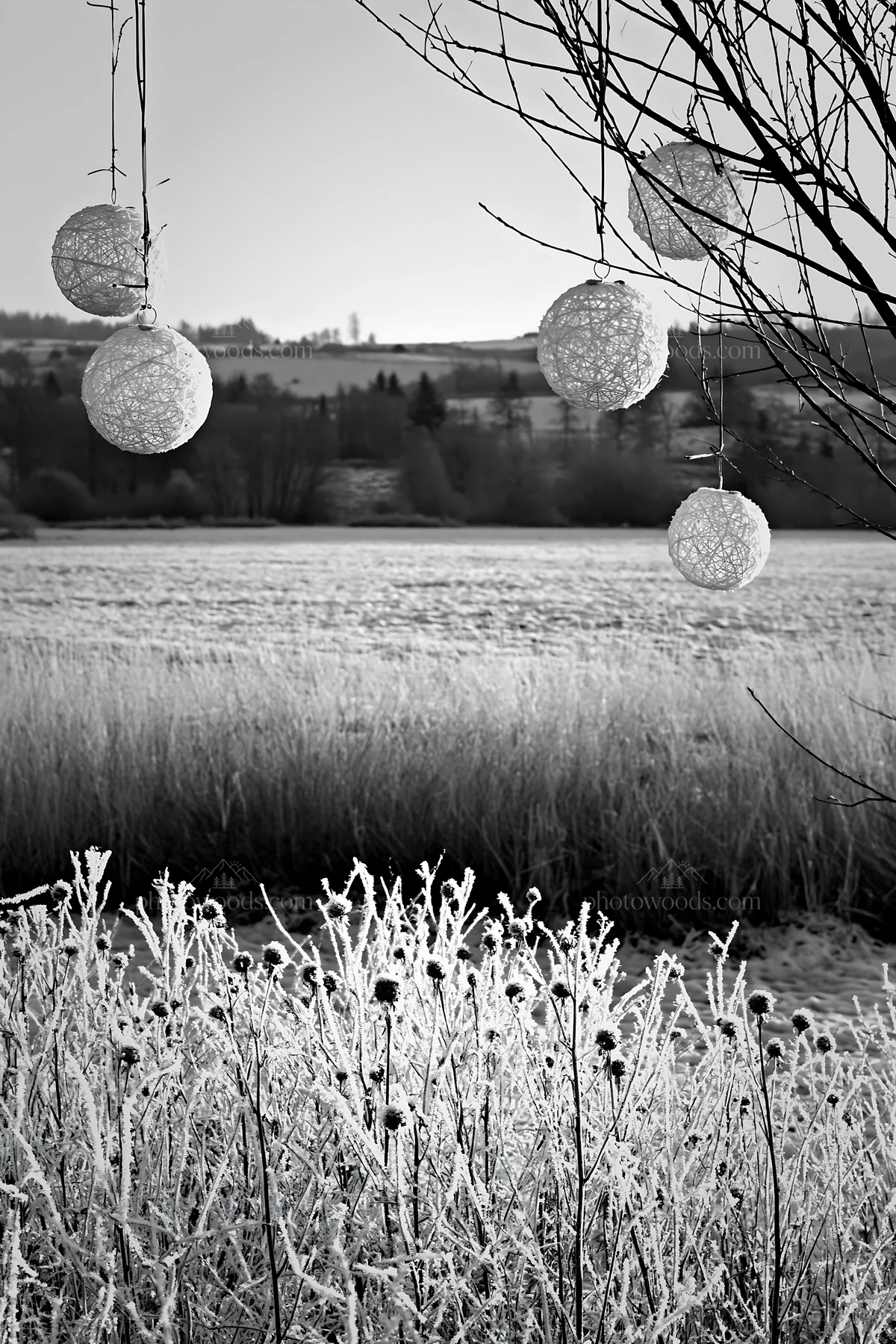 Frosted meadow with lanterns and frosted seedheads - AI-generated stock image