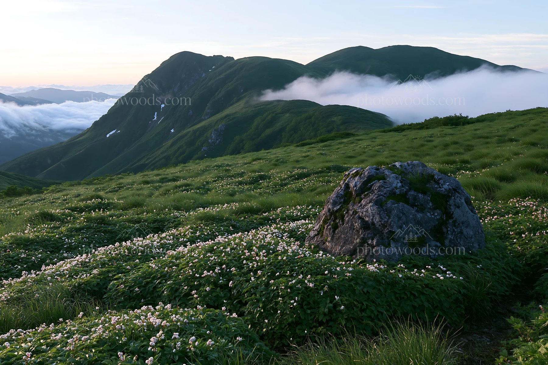 Aomori climate resilient meadow with boulder enhances landscape - AI-generated stock image