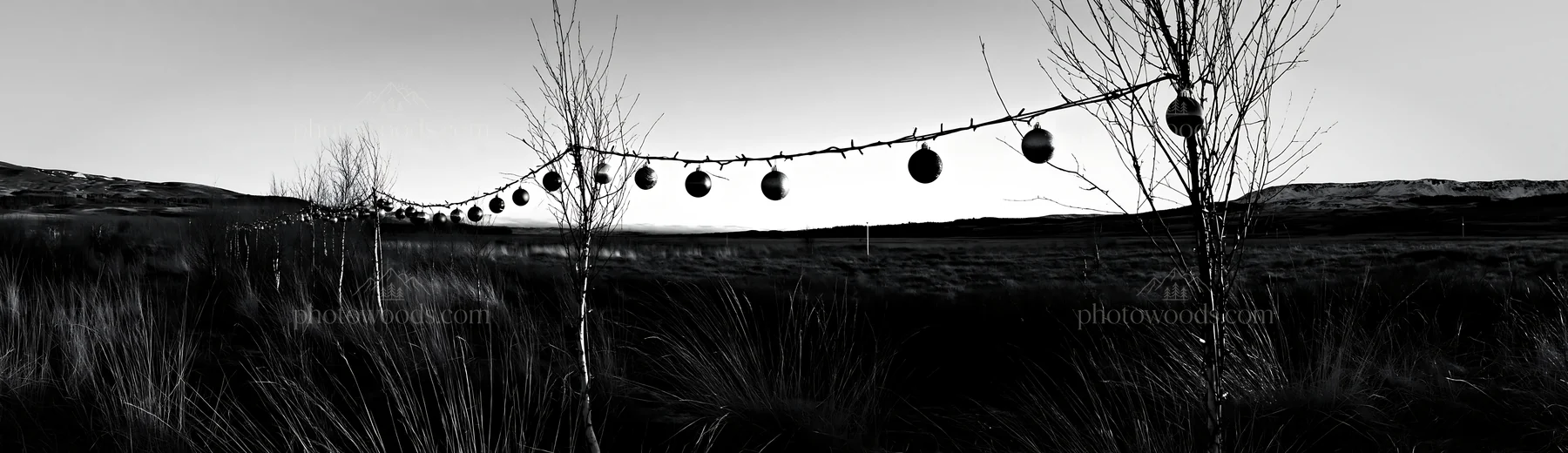 Open winter meadow with baubles hanging on a line - AI-generated stock image