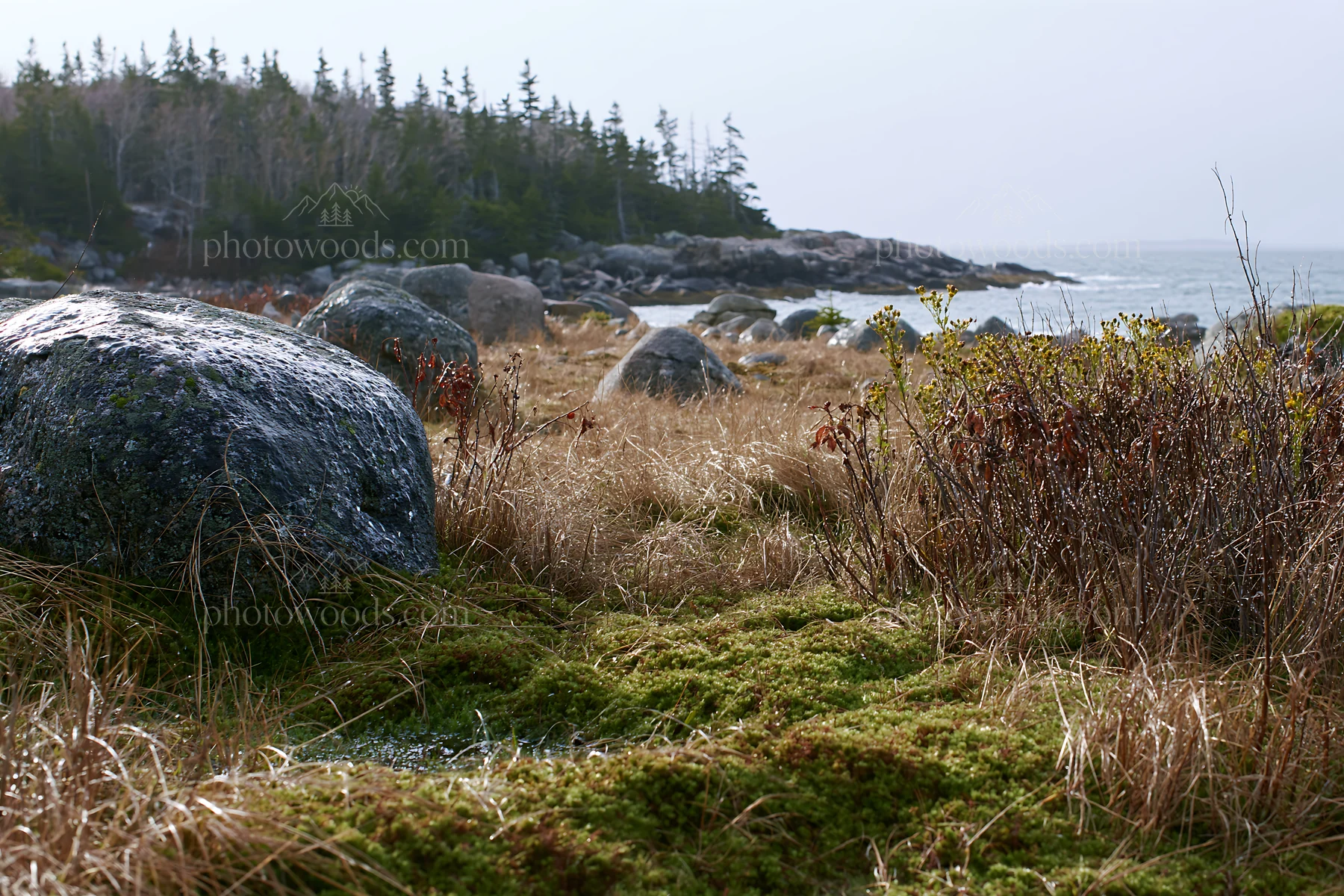 Mossy boulders in a meadow by the shore - AI-generated stock image