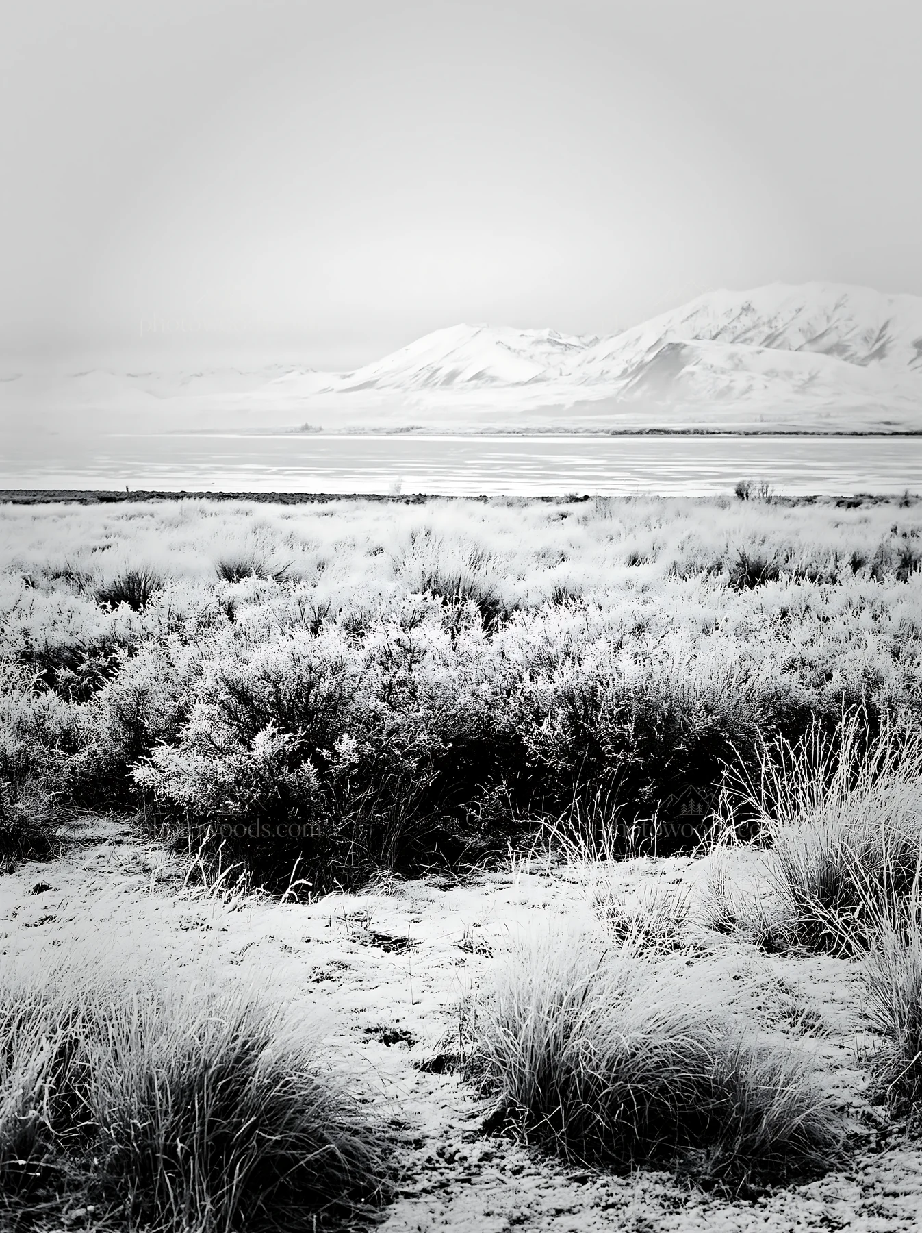 Black and white lake Tekapo meadow snowy alps offer a winter landscape view - AI-generated stock image