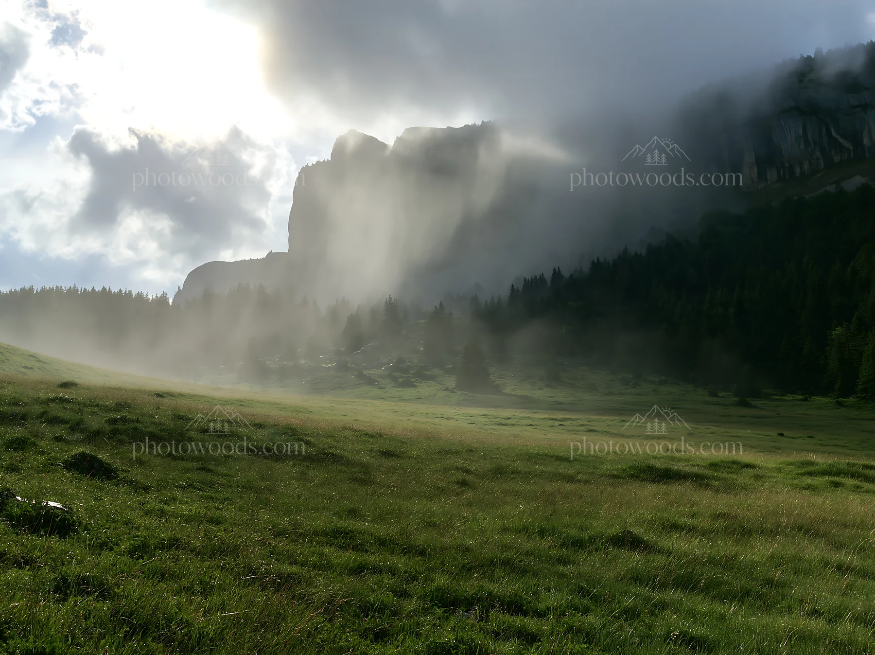 Meadow under crags with mist in the background - AI-generated stock image