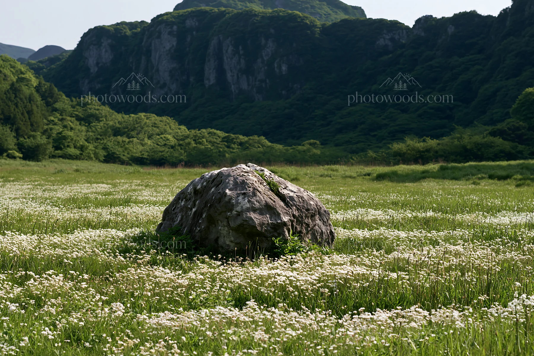 Yamaguchi limestone meadow features a pale boulder - AI-generated stock image