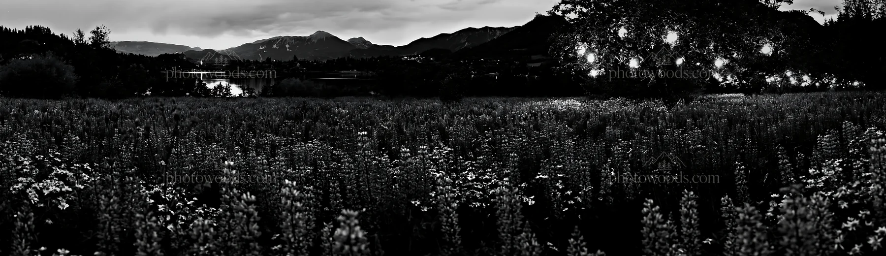 Lanterns glow in a Christmas meadow near Lake Bled - AI-generated stock image