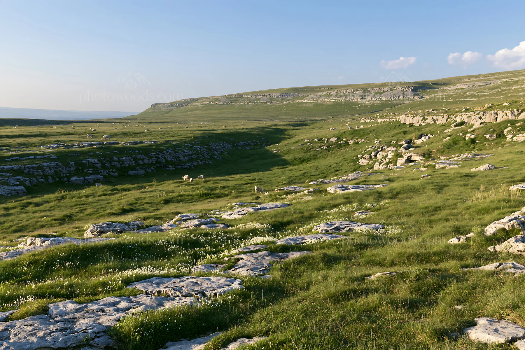 Sunny meadow on limestone escarpment during the day - AI-generated stock image
