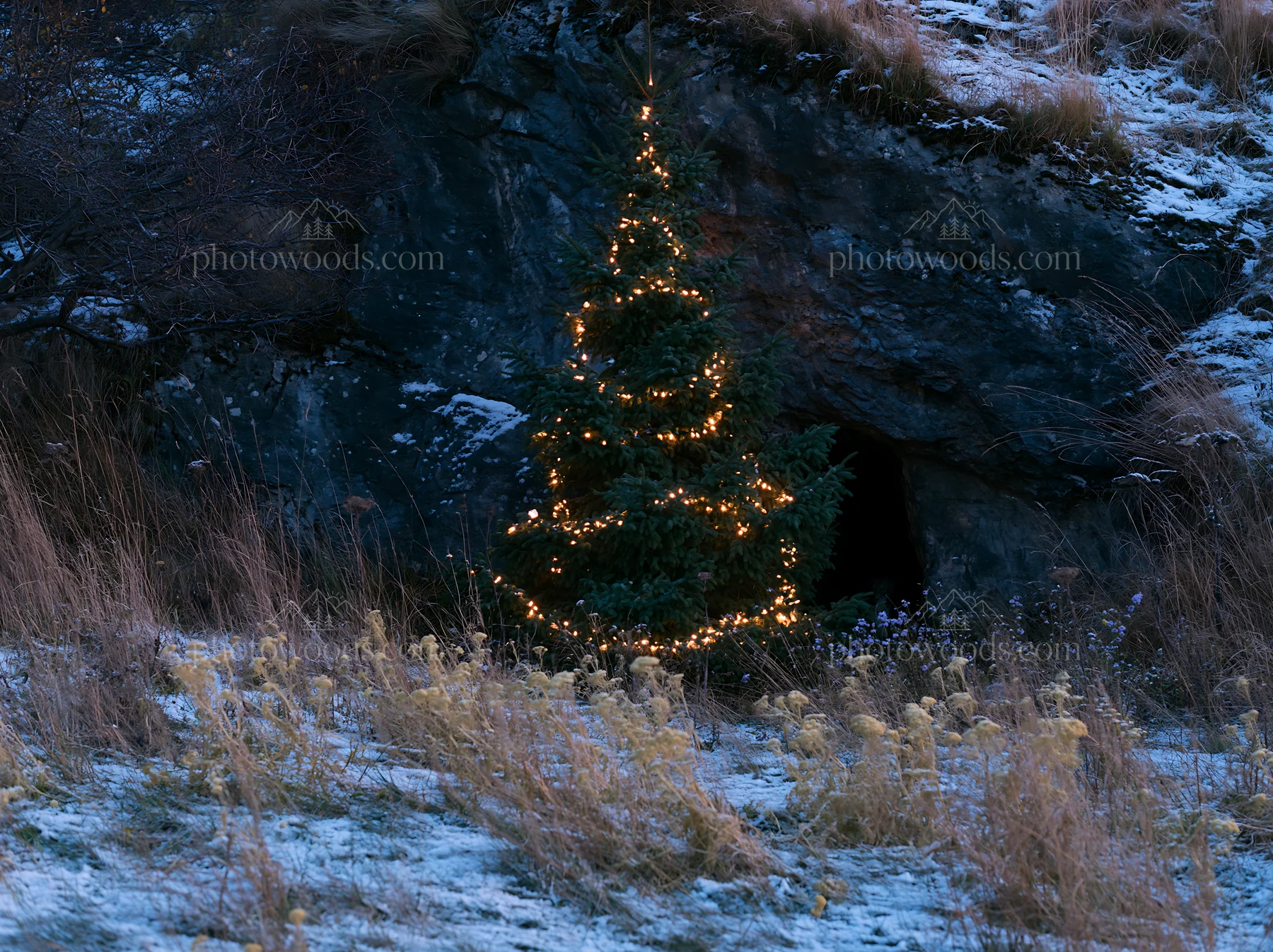 Christmas tree with lights beside cave in snowy meadow - AI-generated stock image
