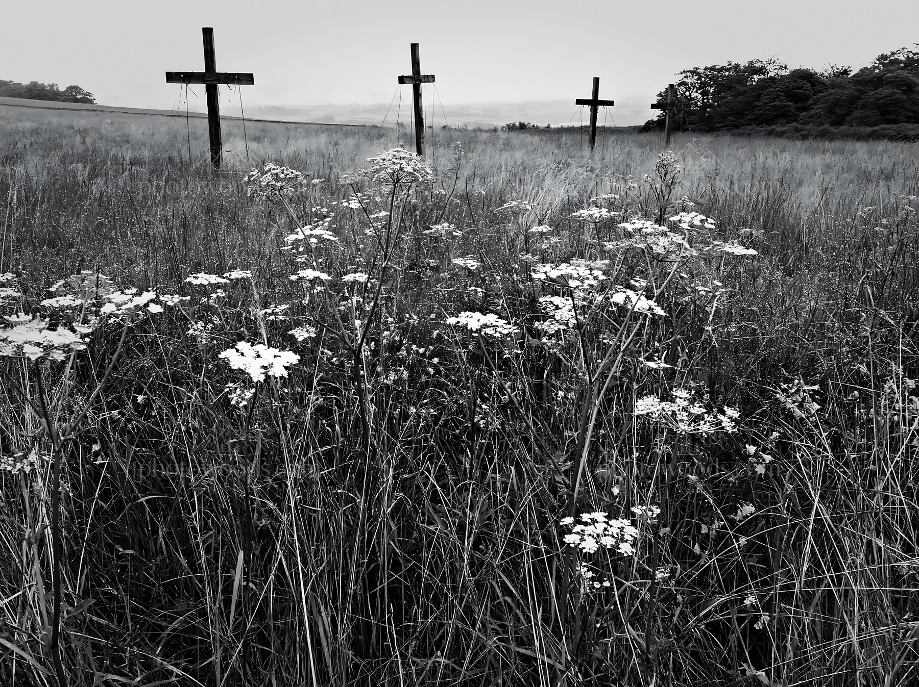 Christian crosses in rain soaked meadow with flowers - AI-generated stock image