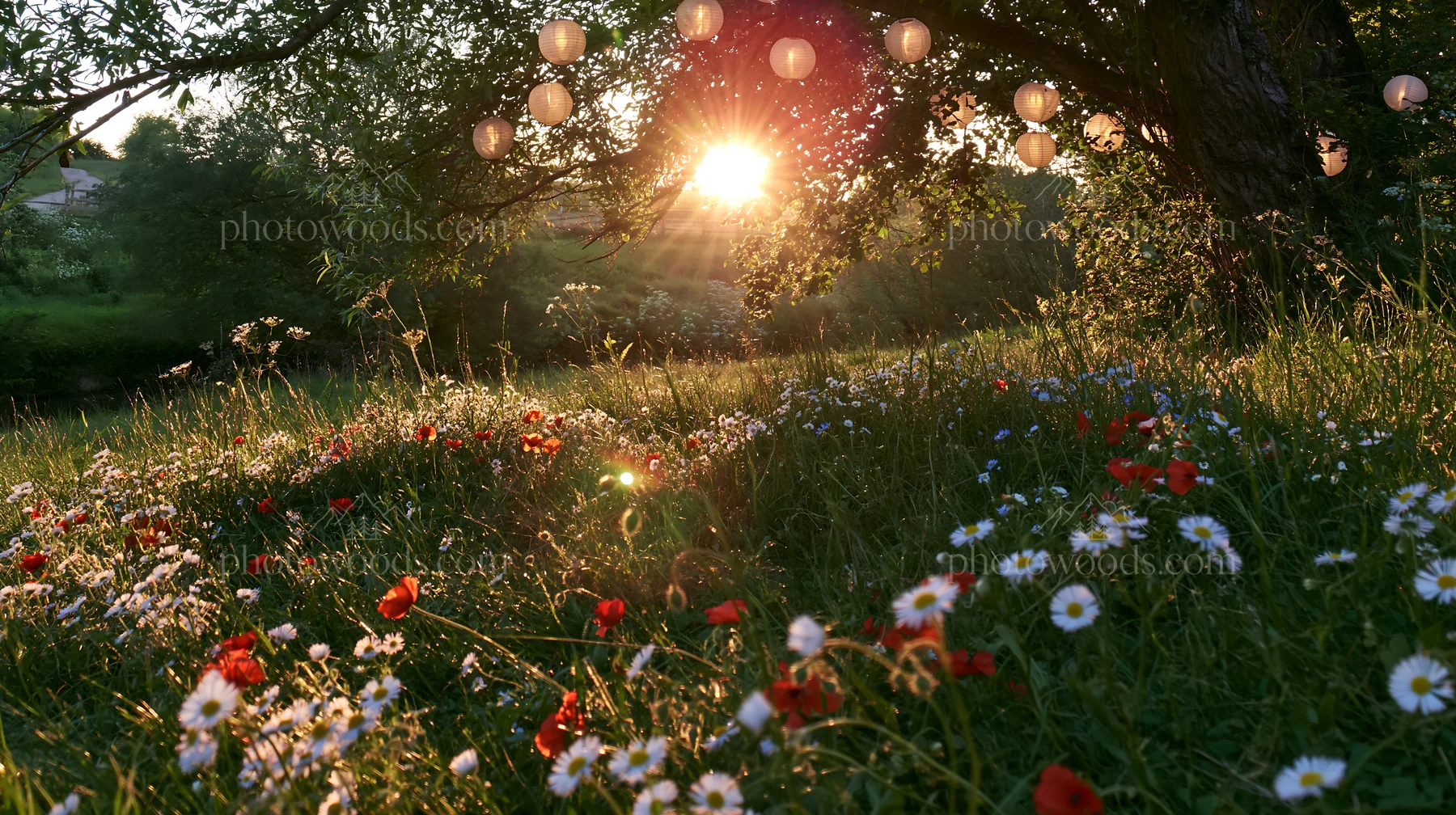 Christmas lanterns hang above stream in meadow - AI-generated stock image