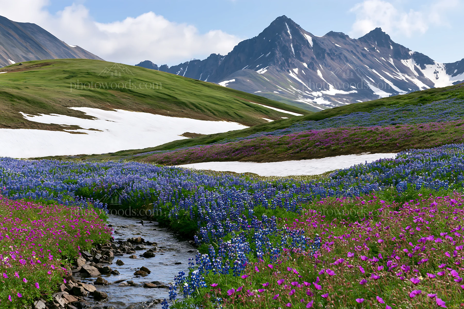 Colorful lupine meadow with mountains and stream - AI-generated stock image