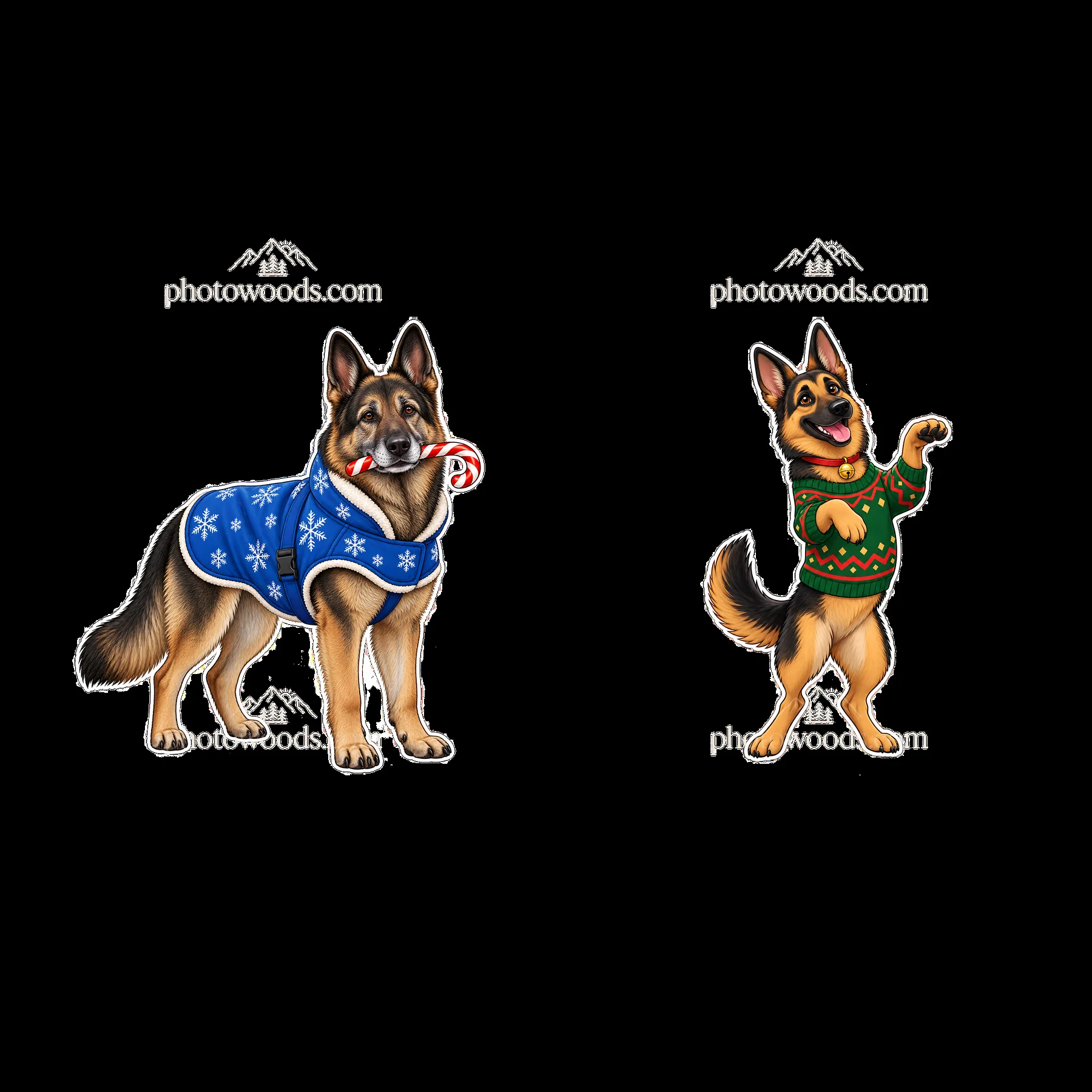 German Shepherd dogs with Christmas sweaters and candy cane - AI-generated stock image
