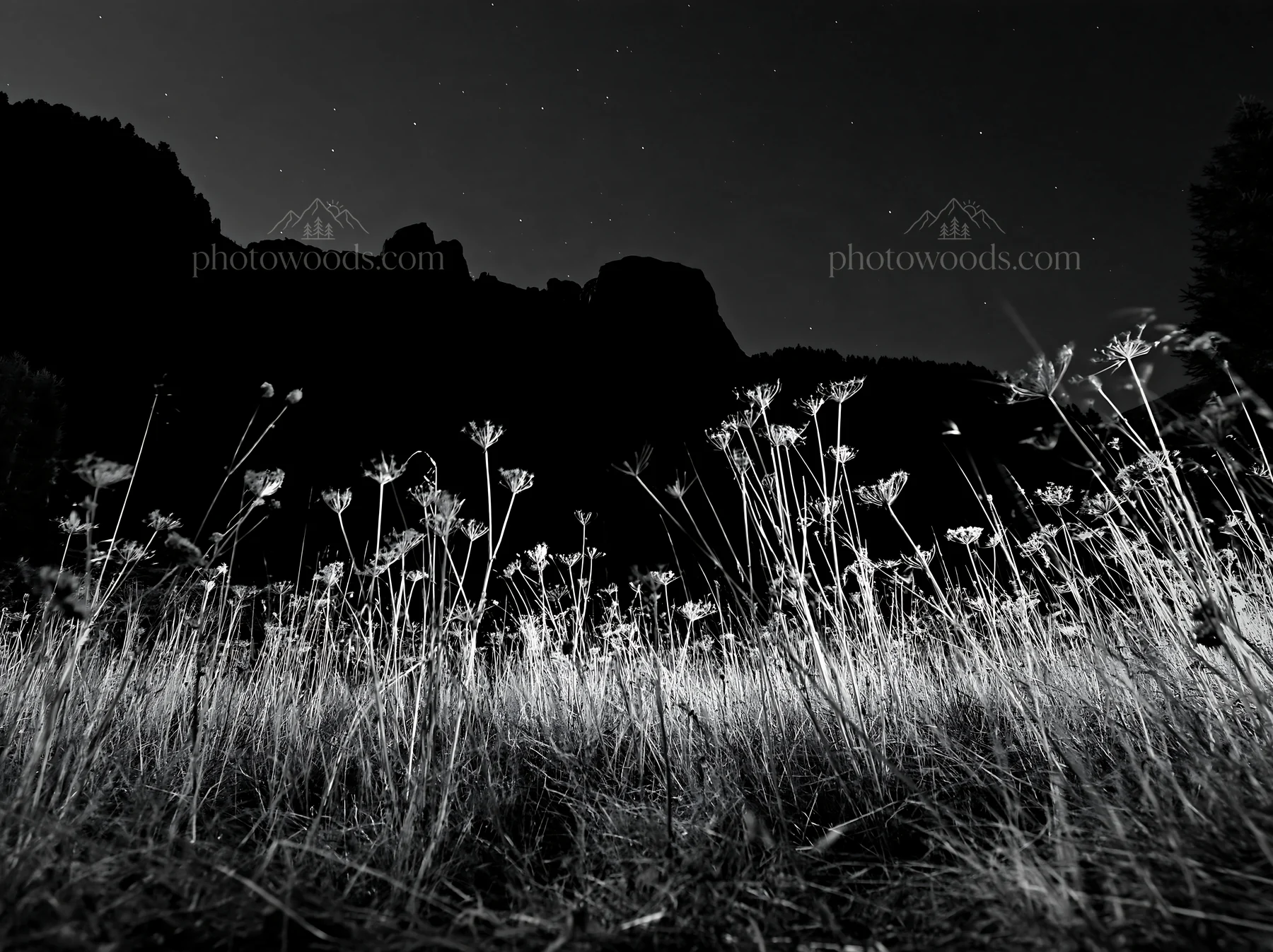 Meadow with flowers under crags at night - AI-generated stock image