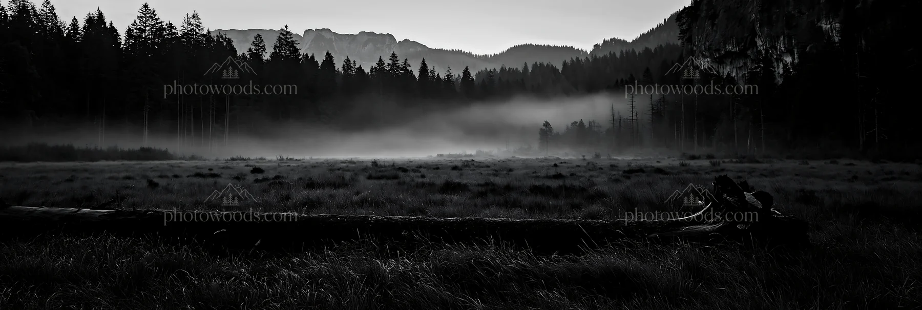 Weathered log in a foggy meadow at dawn - AI-generated stock image