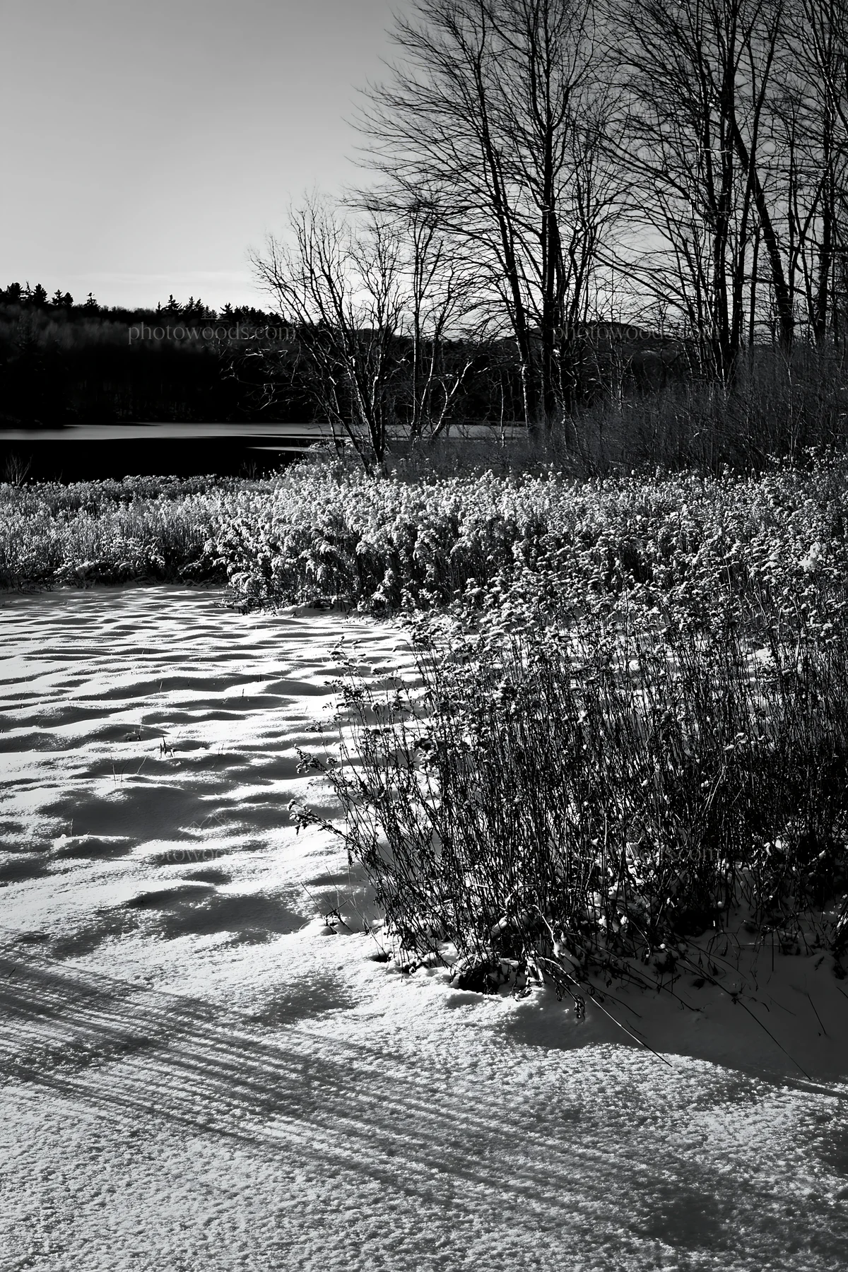 Lakeside meadow after first snowfall in black and white - AI-generated stock image