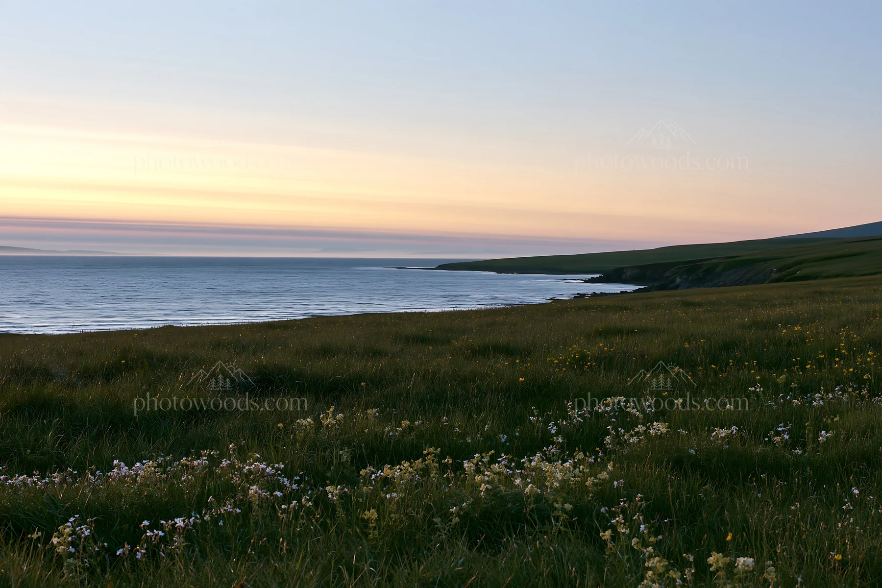 Meadow along the coast at sunset with water and grass - AI-generated stock image