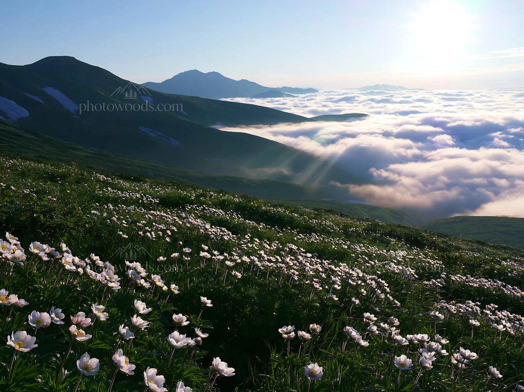 Daisetsuzan alpine meadow light rays shine through clouds - AI-generated stock image