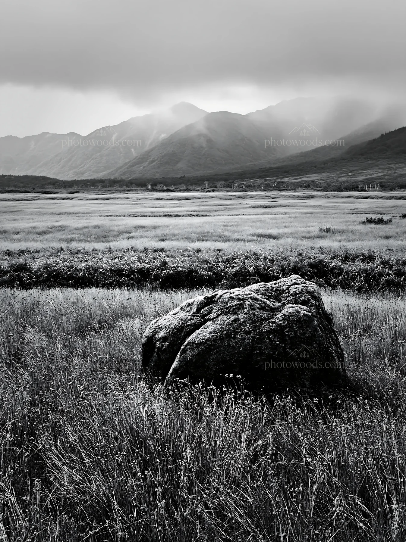 Black and white aomori climate resilient meadow with boulder in green landscape - AI-generated stock image