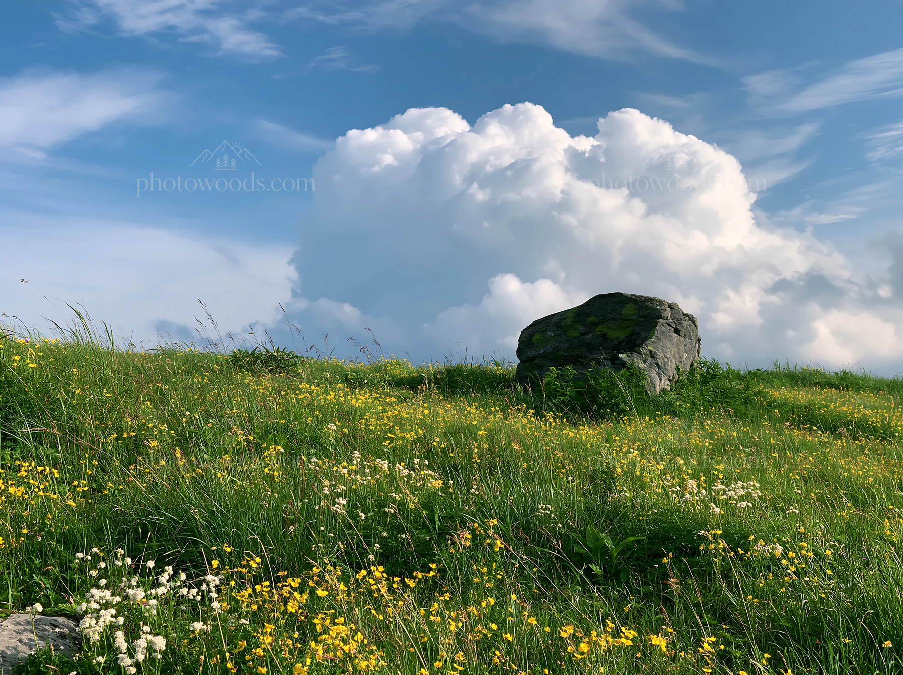 Aomori climate resilient meadow with boulder under blue sky - AI-generated stock image