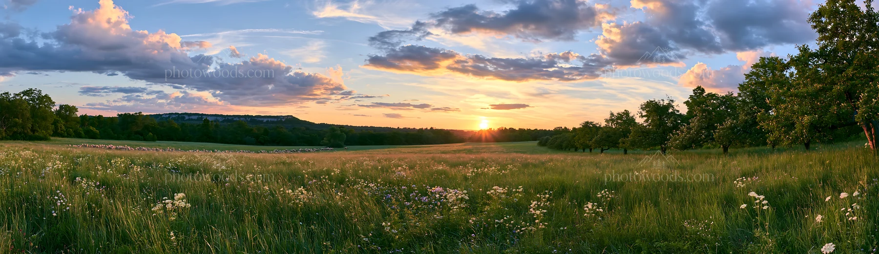 Apple meadow at sunset with clouds and trees - AI-generated stock image