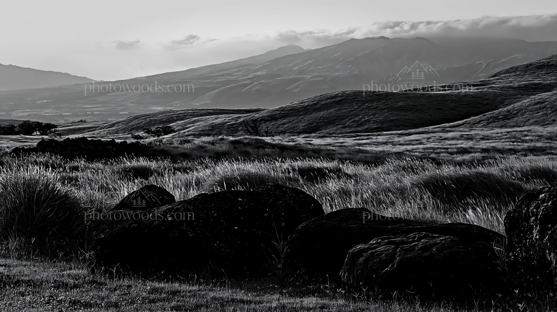 Black and white restored Kumamoto silver grass meadow boulders at sunset - AI-generated stock image