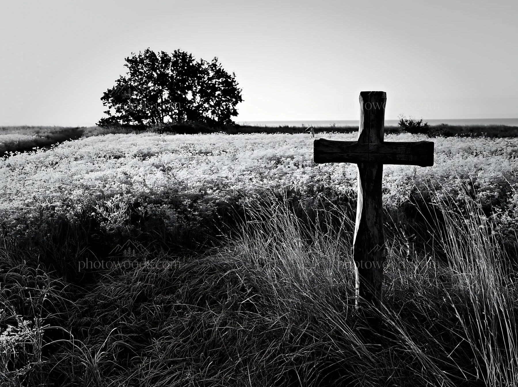 Carved oak cross in frosted meadow with tree in background - AI-generated stock image