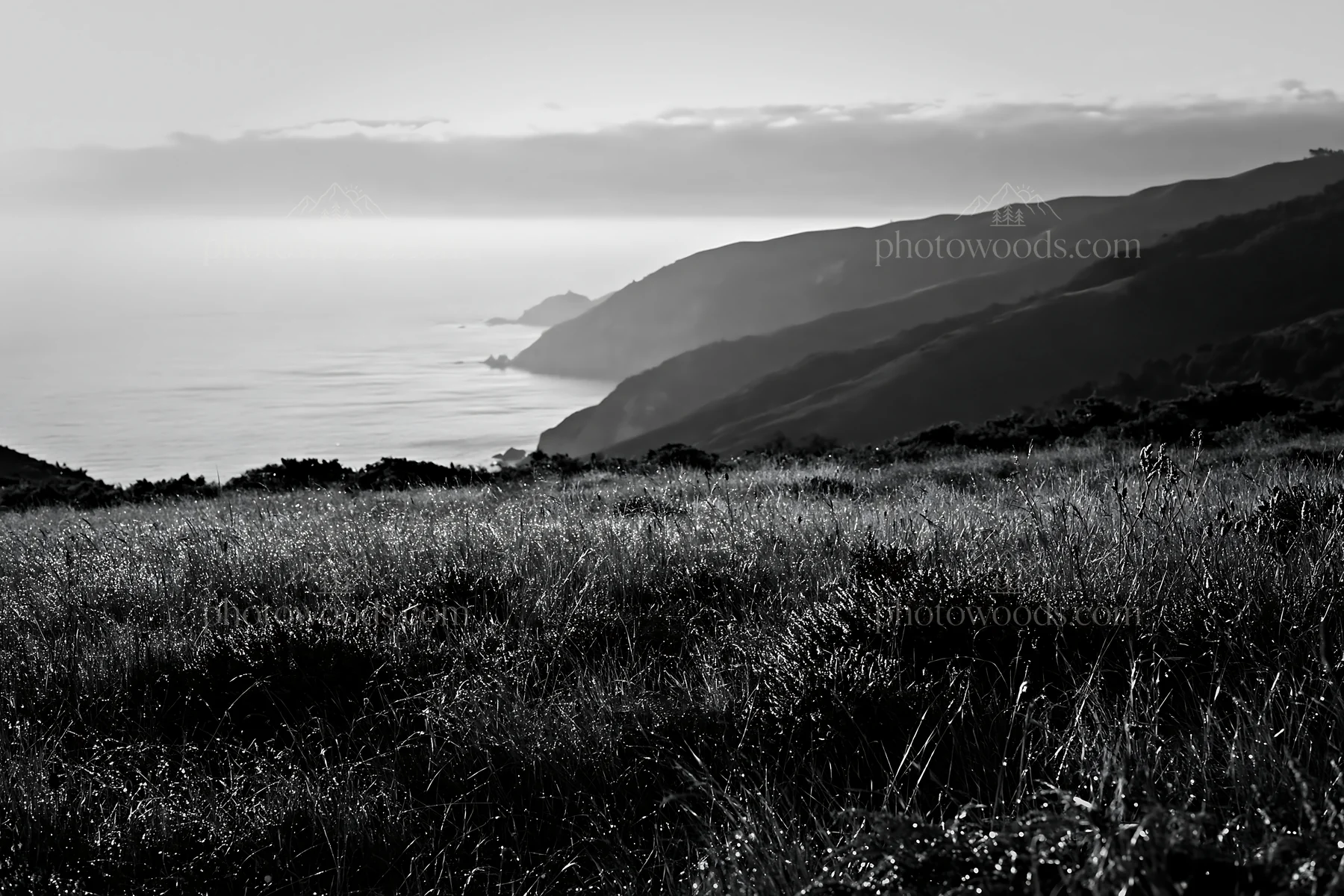 Portuguese meadow with Atlantic coast view in black and white - AI-generated stock image