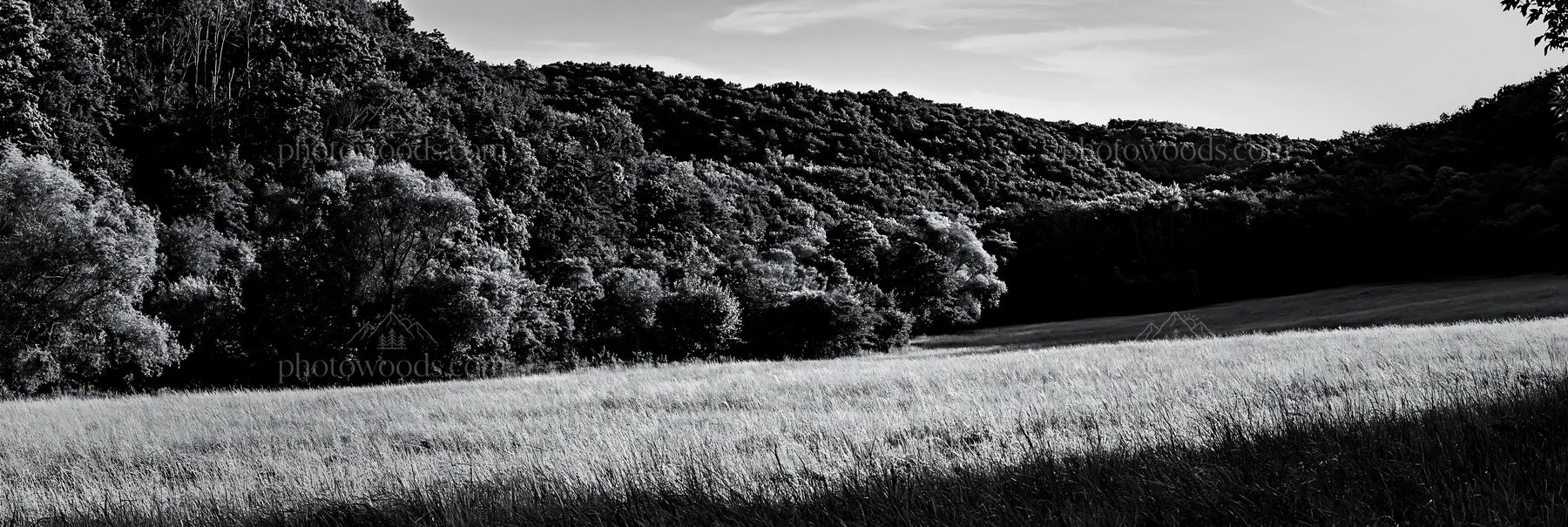 Hungarian meadow along wooded valley landscape - AI-generated stock image