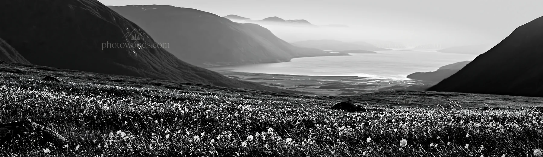 Meadow under crags with mountain view and water in the distance - AI-generated stock image