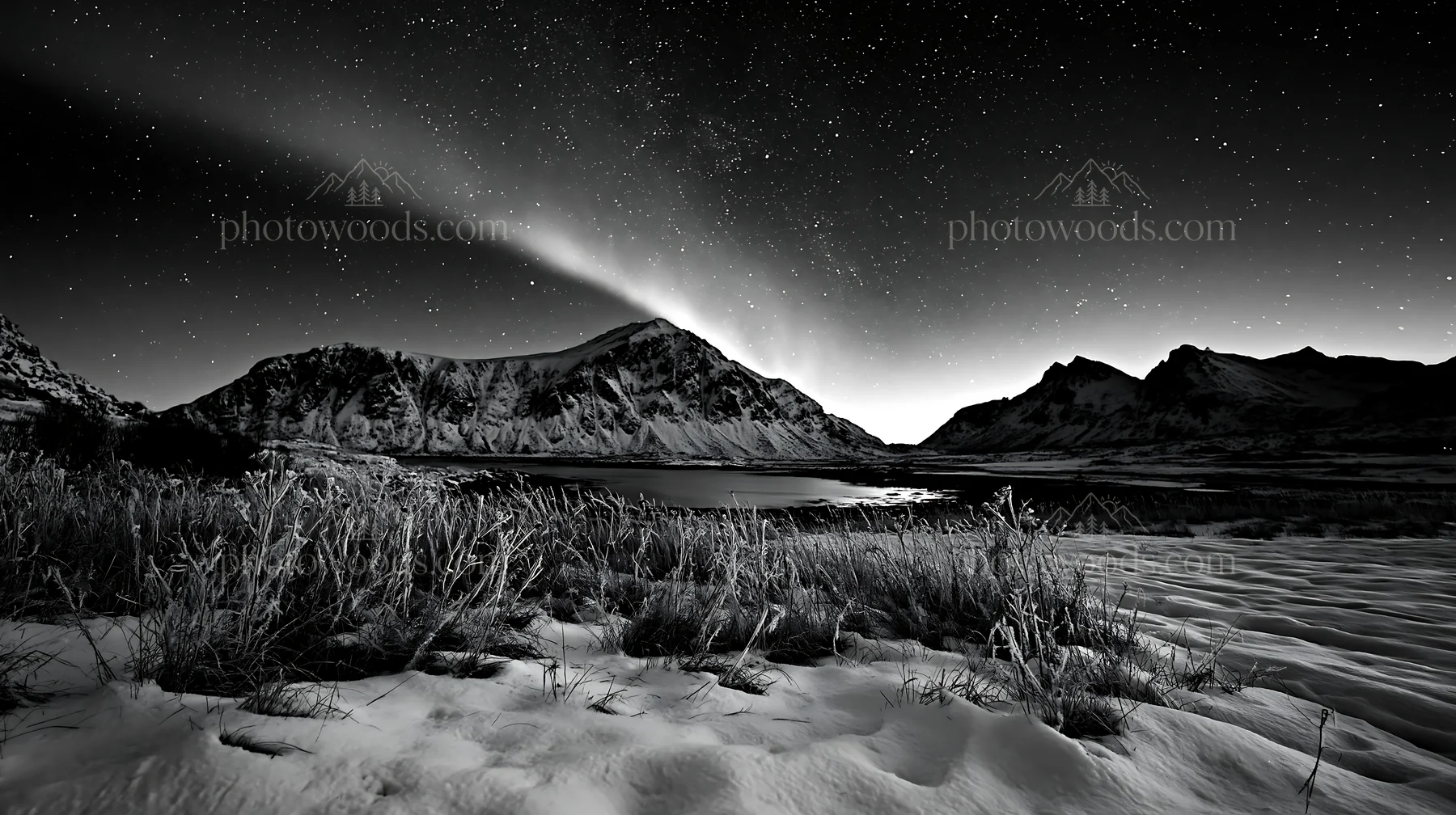 Lofoten coastal meadow covered in winter snow - AI-generated stock image