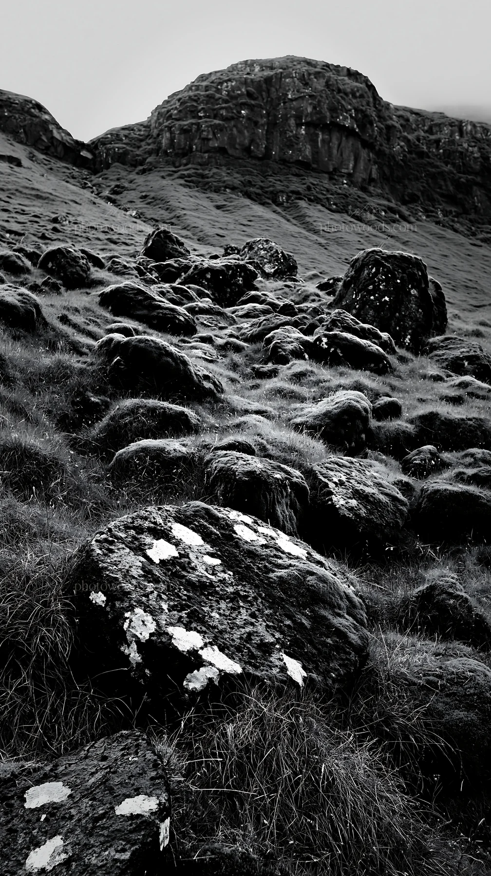 Mossy boulders across a grassy meadow in black and white - AI-generated stock image