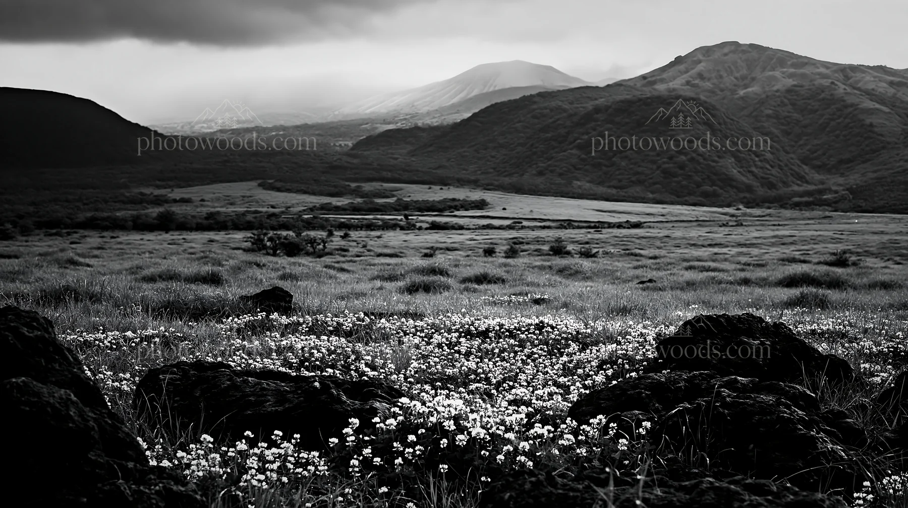 Black and white kumamoto volcanic meadow dark rock foreground with green landscape - AI-generated stock image