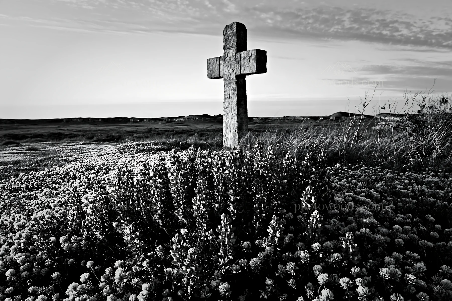 Christian cross in meadow during sunset - AI-generated stock image