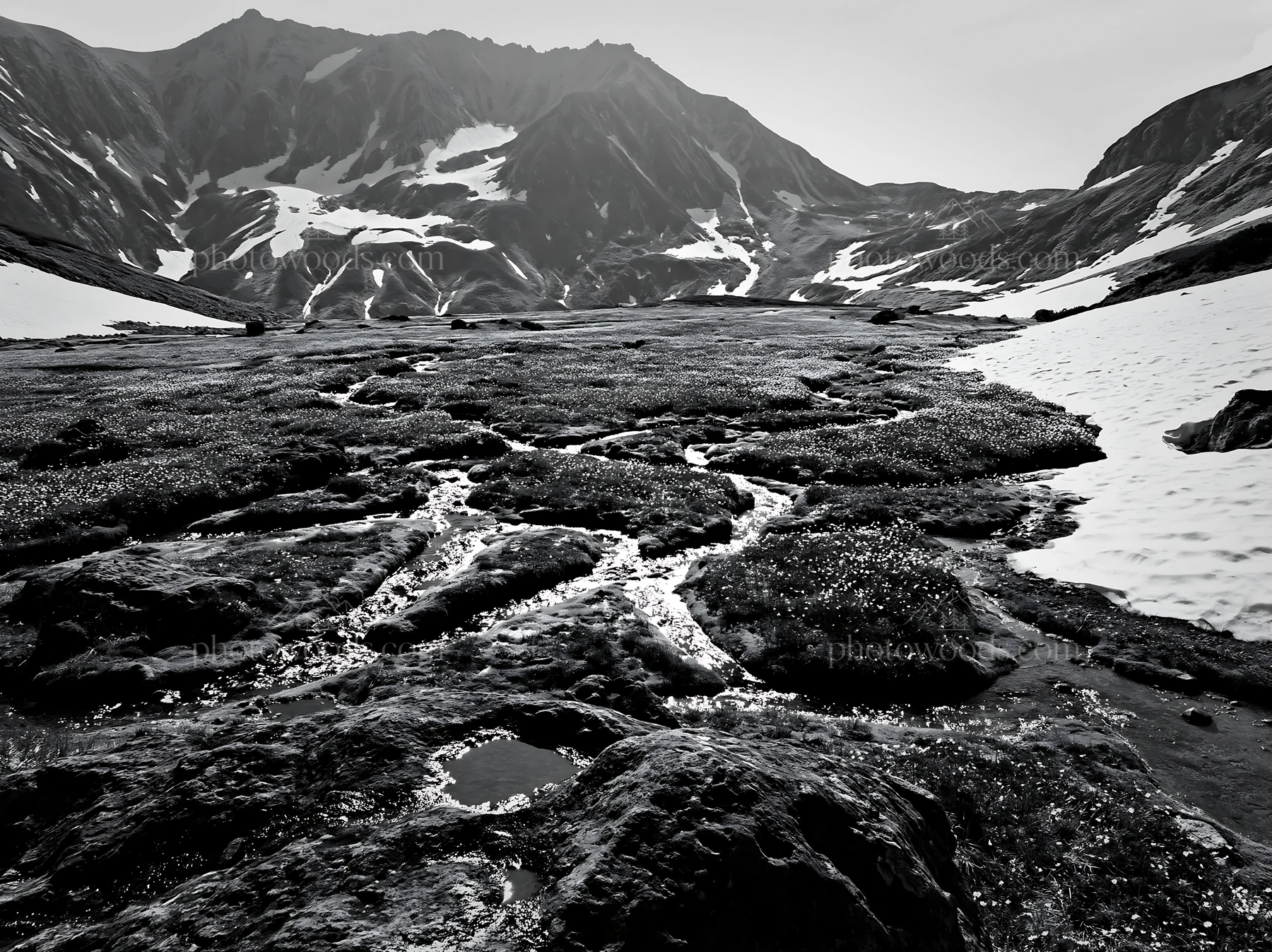 Black and white toyama alpine meadow snowmelt rock foreground with flowing streams - AI-generated stock image