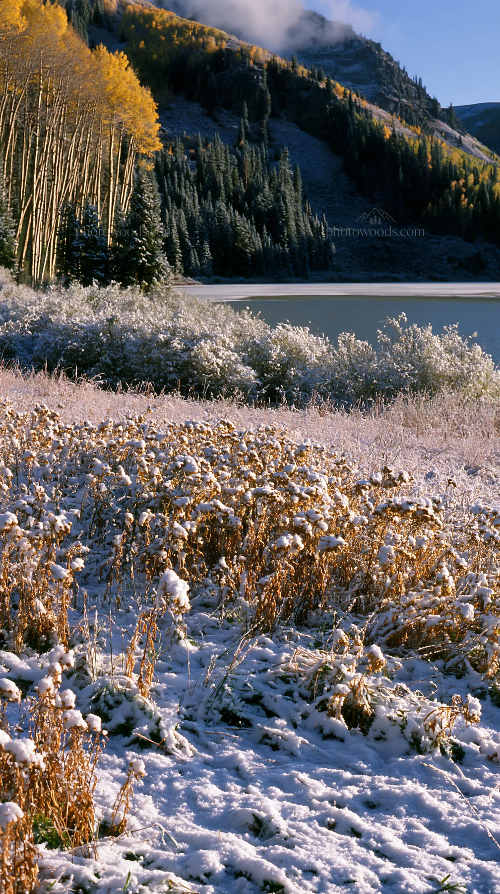Lakeside meadow after first snowfall with golden grass - AI-generated stock image