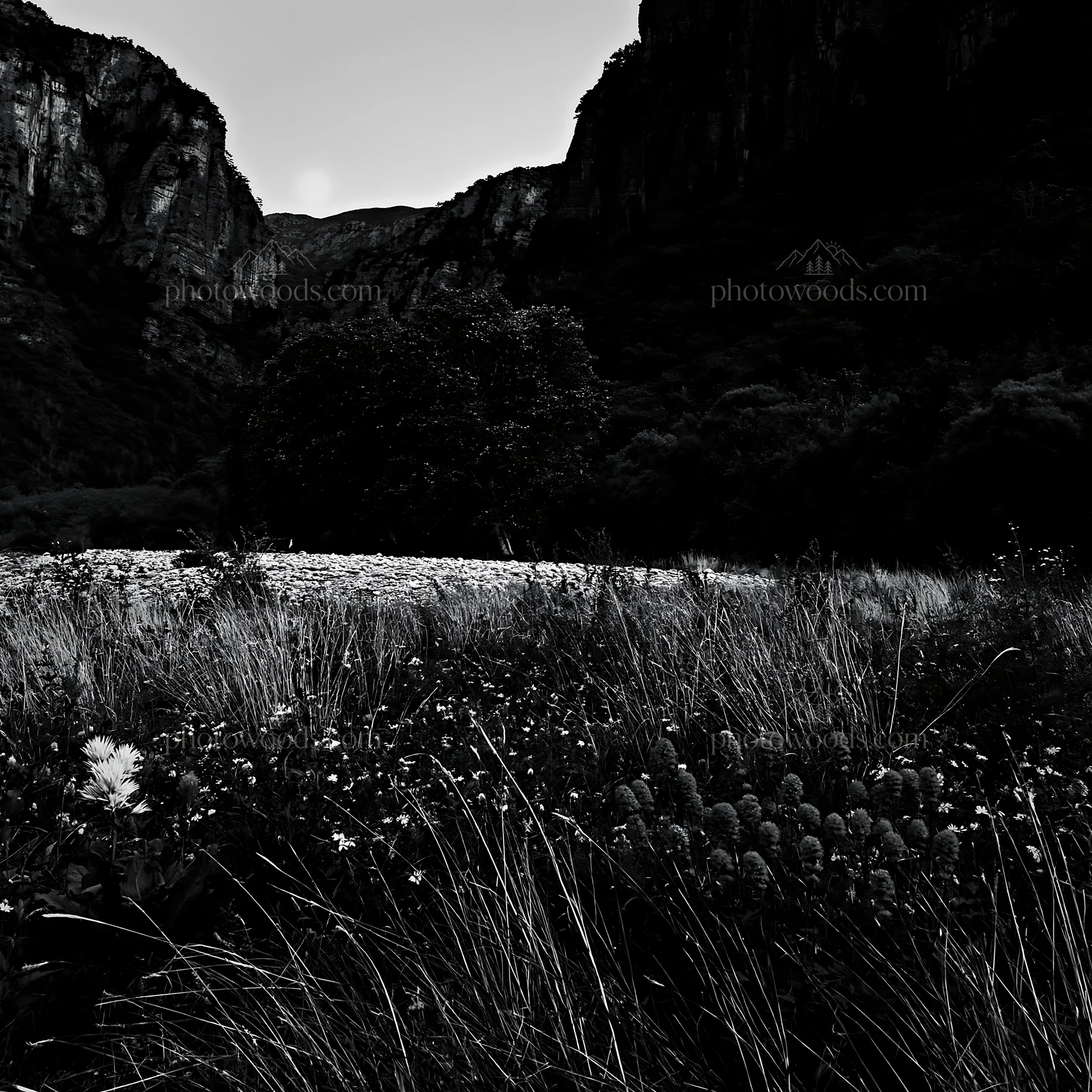 Moonlit meadow with wildflowers and mountains in the background - AI-generated stock image