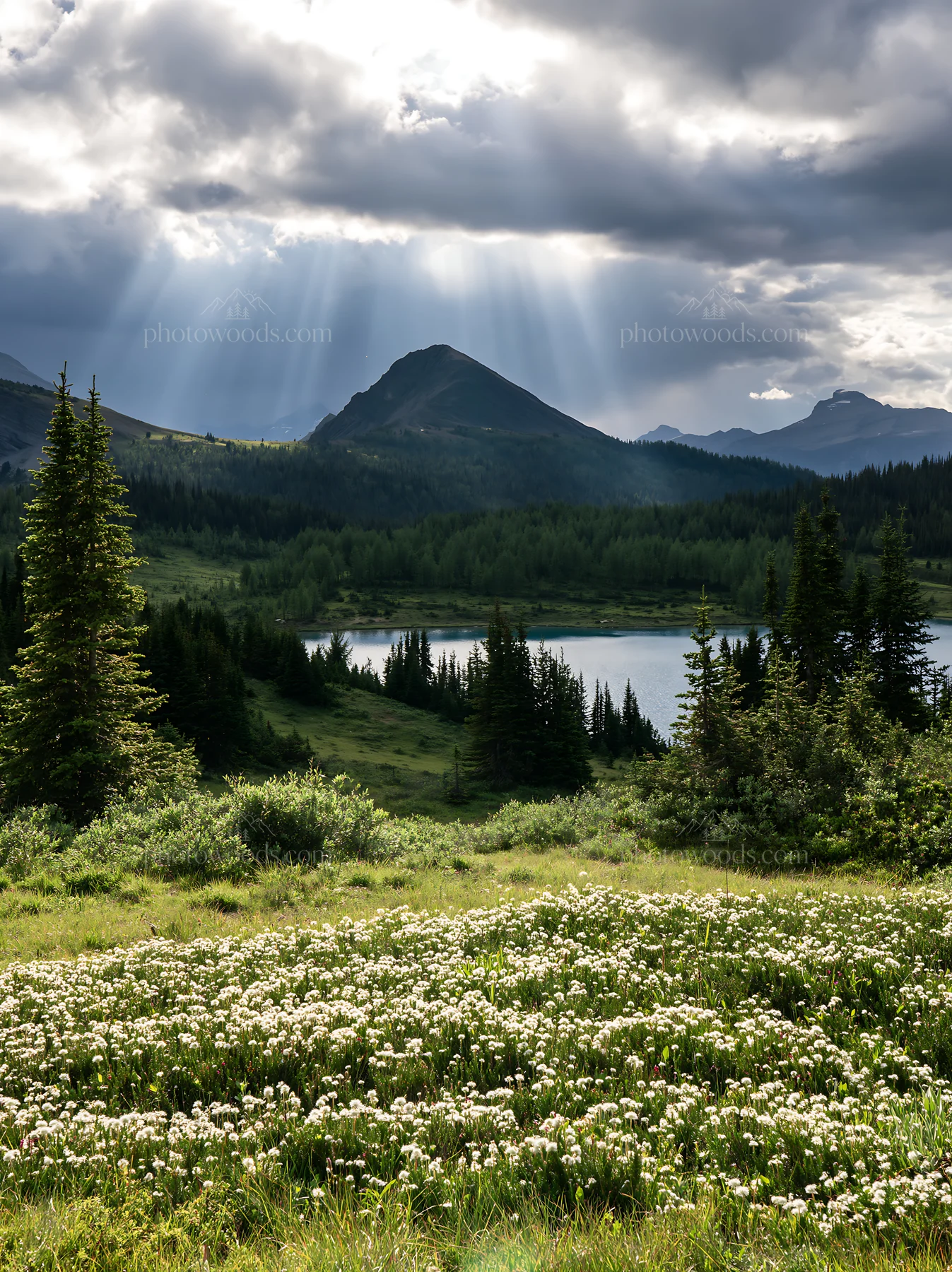 Sunshine Meadows Banff light rays illuminate nature scene - AI-generated stock image