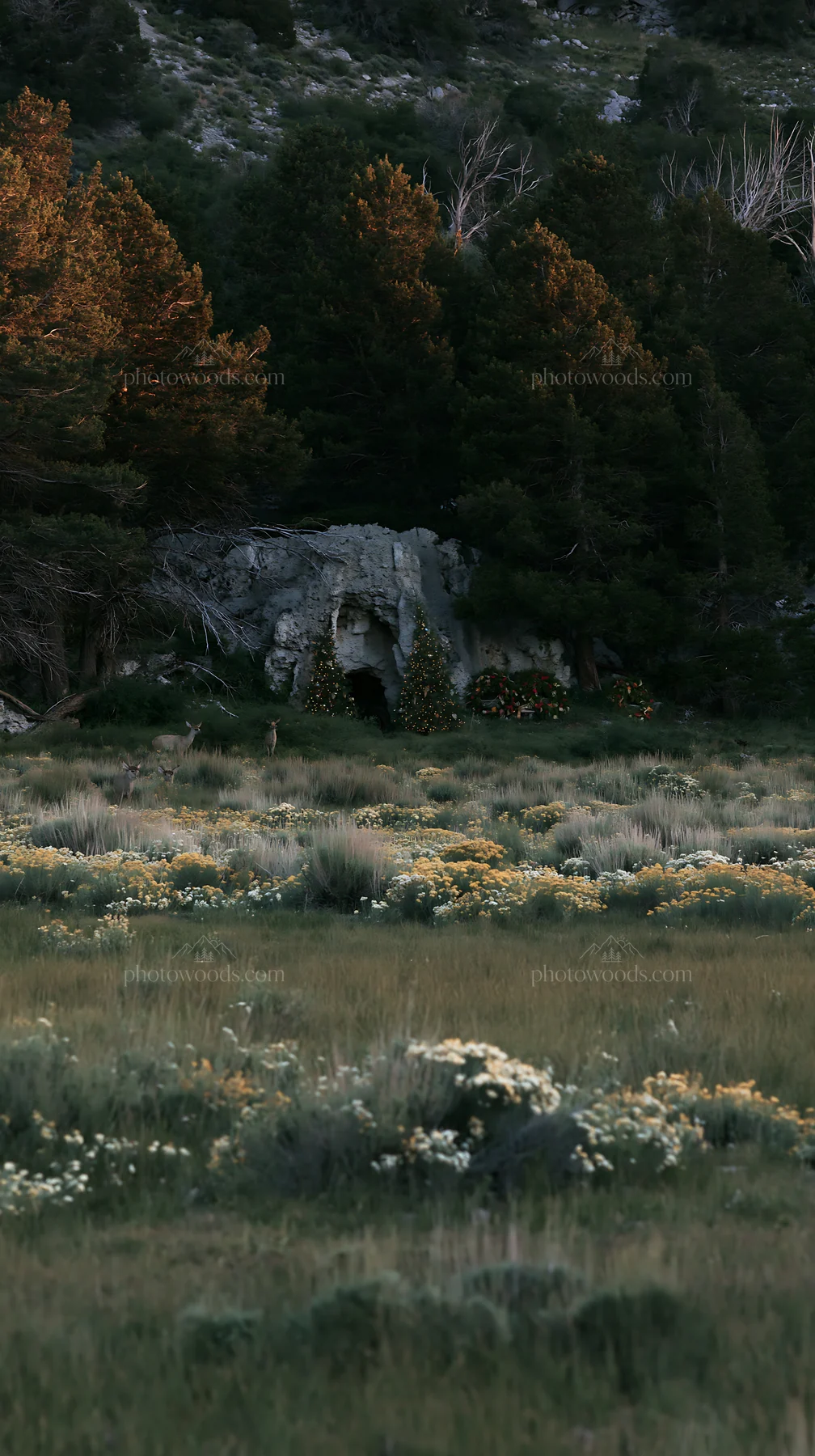 Christmas wreaths placed near a cave in a meadow - AI-generated stock image
