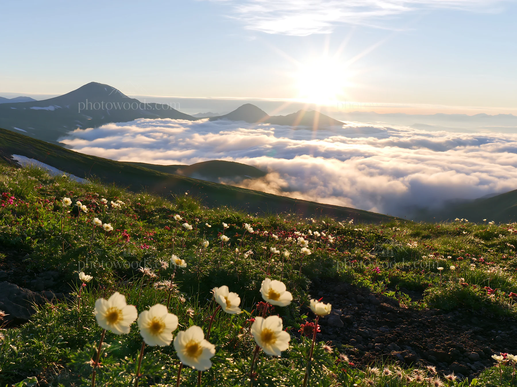 Daisetsuzan alpine meadow light rays shine over the landscape - AI-generated stock image