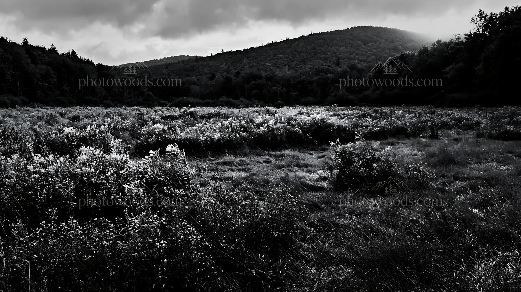 Autumn meadow with wildflowers and hills in the background - AI-generated stock image