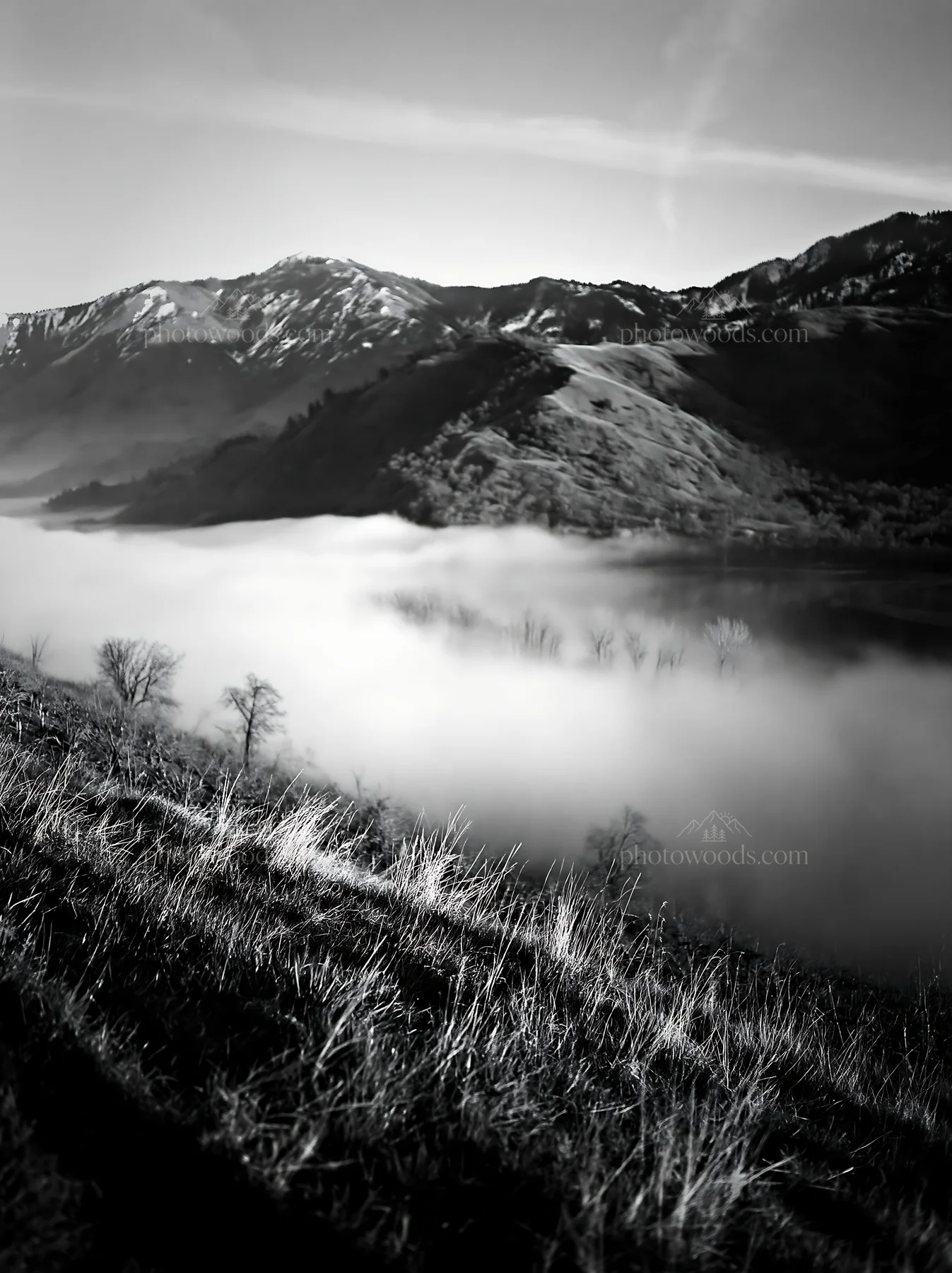 Black and white highland apple meadow with rolling fog and mountain backdrop - AI-generated stock image