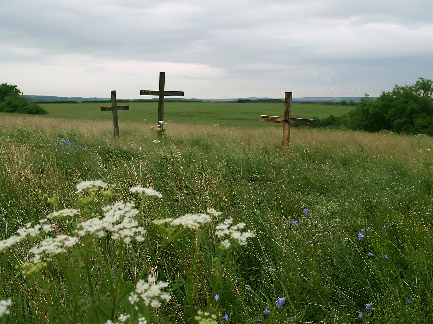 Christian crosses in a rain soaked meadow with flowers - AI-generated stock image