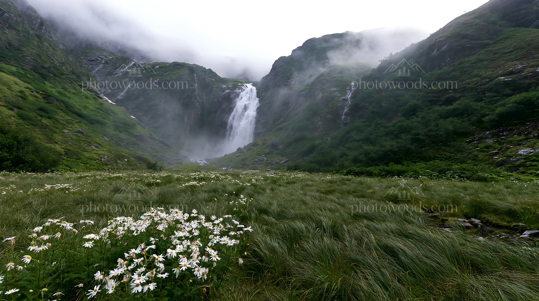 Misty mountain waterfall in misty meadow with wildflowers - AI-generated stock image