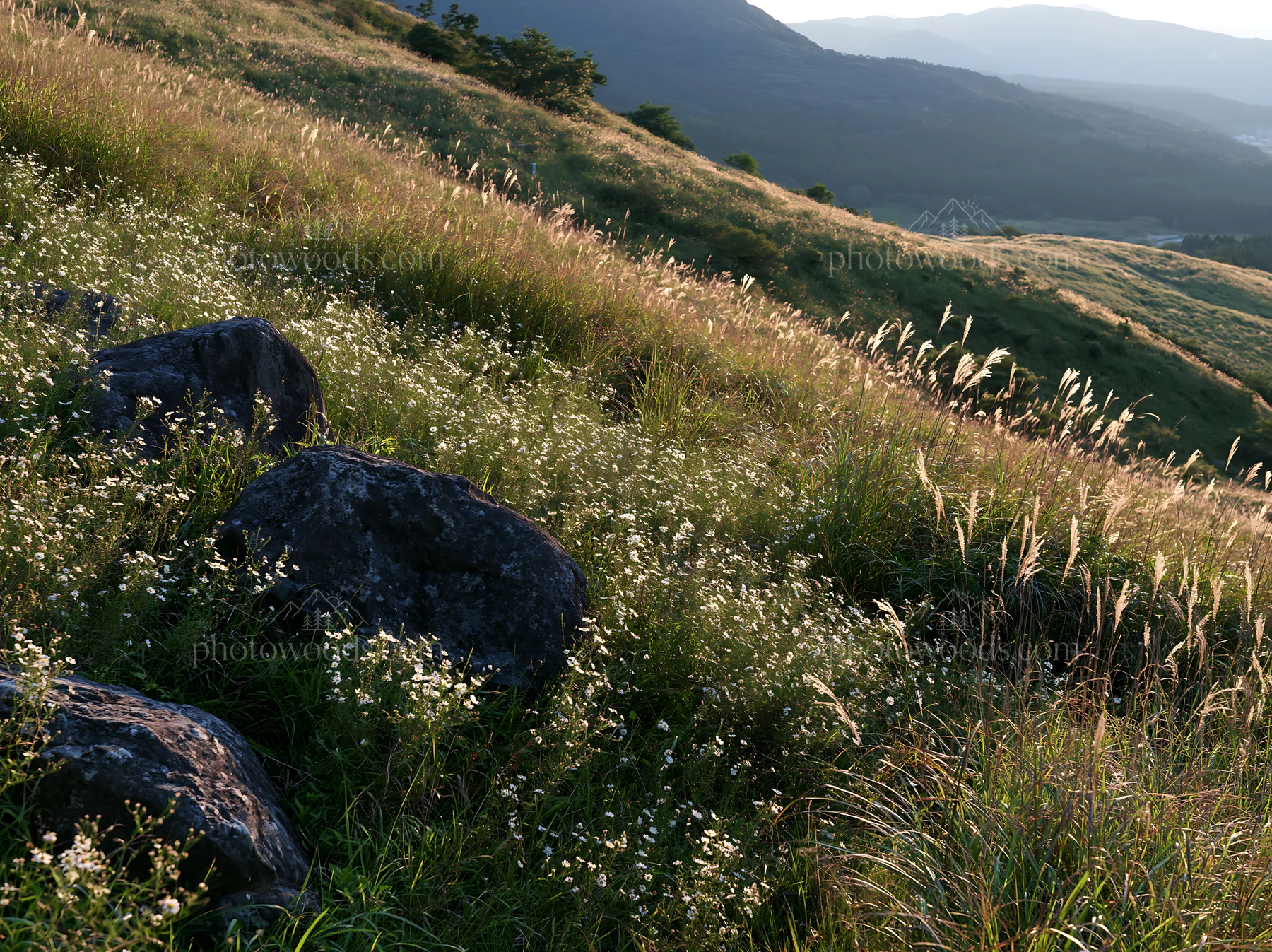 Oita highland meadow with granite stones in natural setting - AI-generated stock image