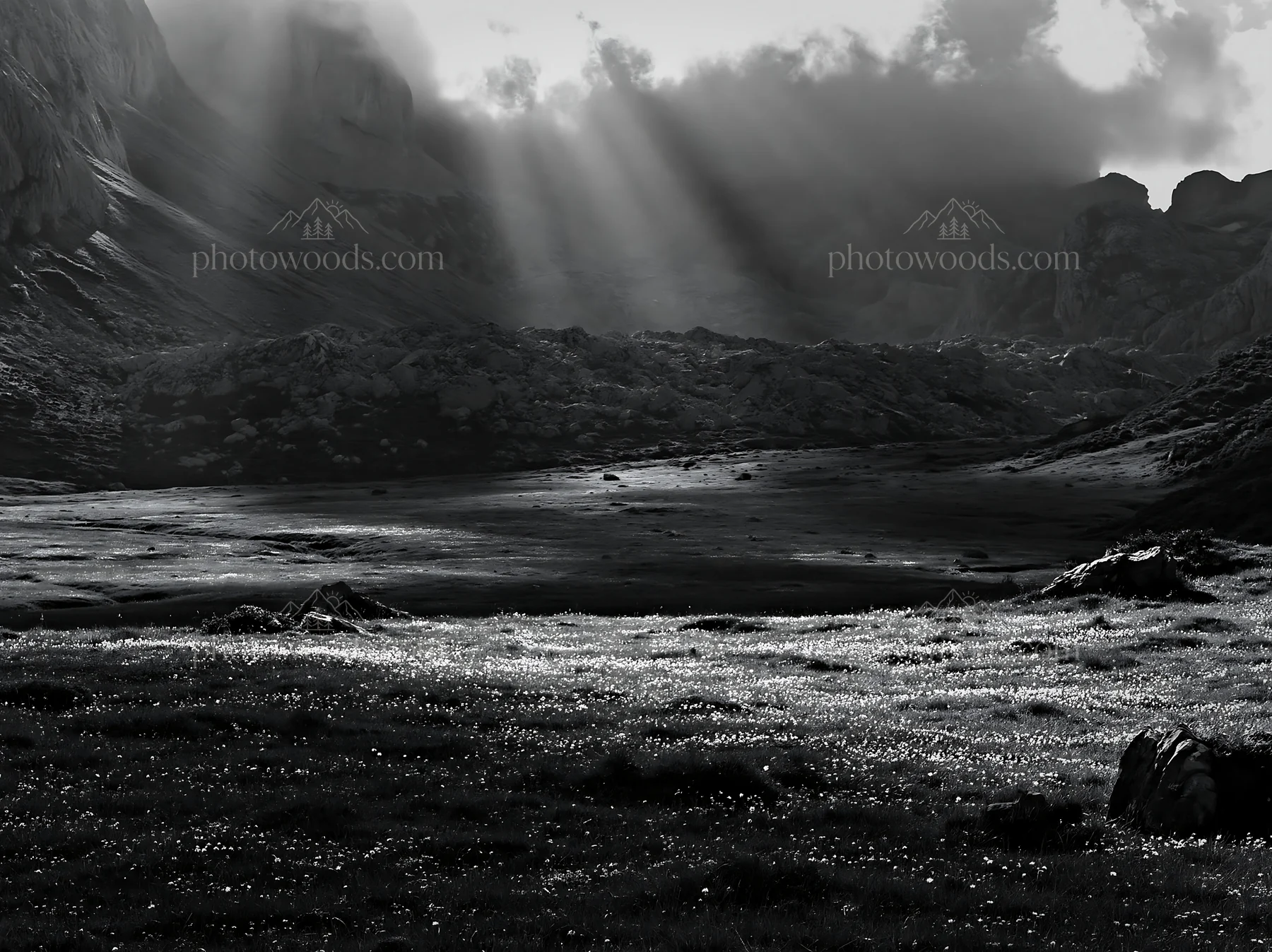 Sunrays illuminate meadow in Picos de Europa mountains - AI-generated stock image